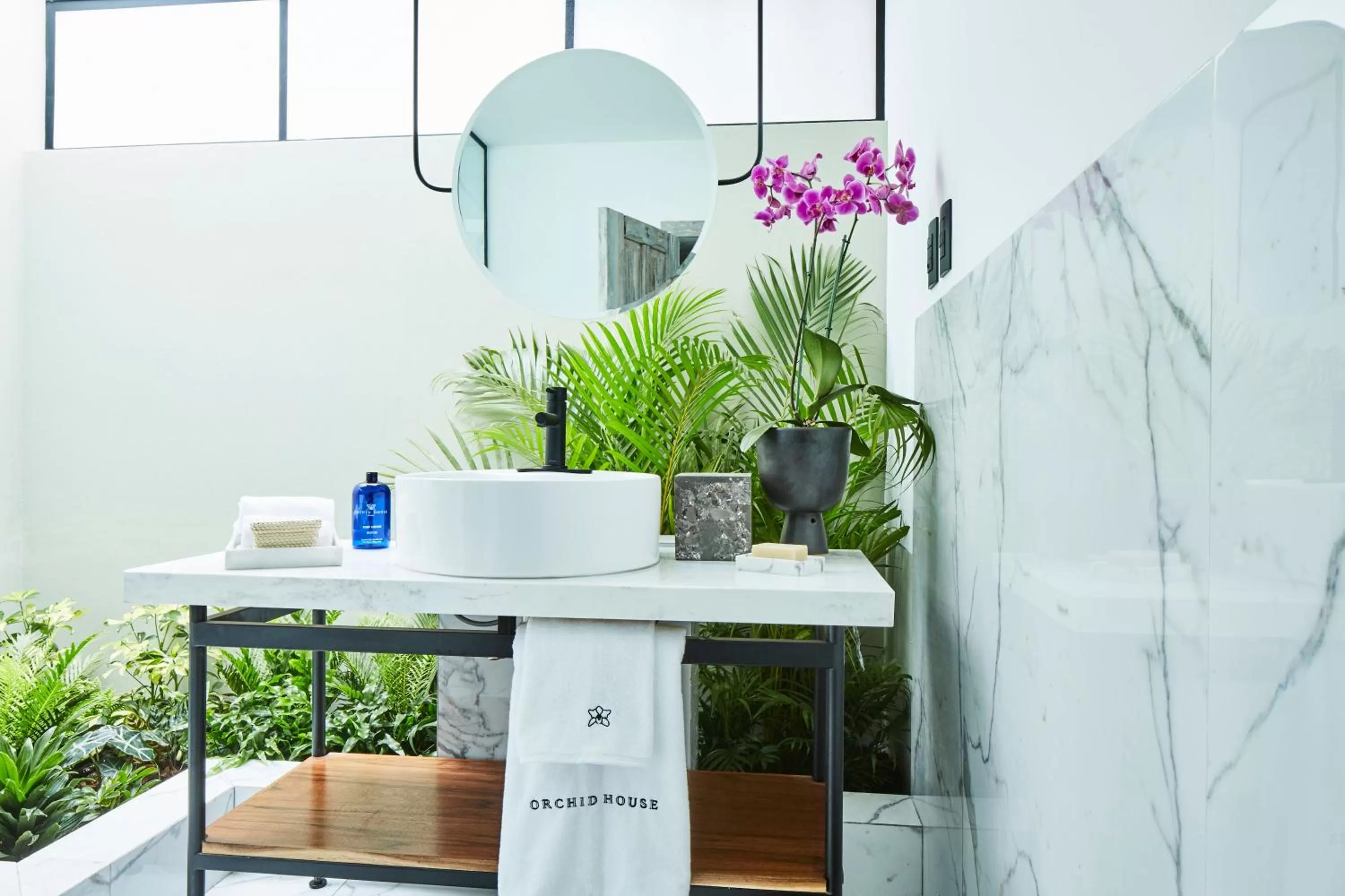 Shower in Orchid House Mexico City