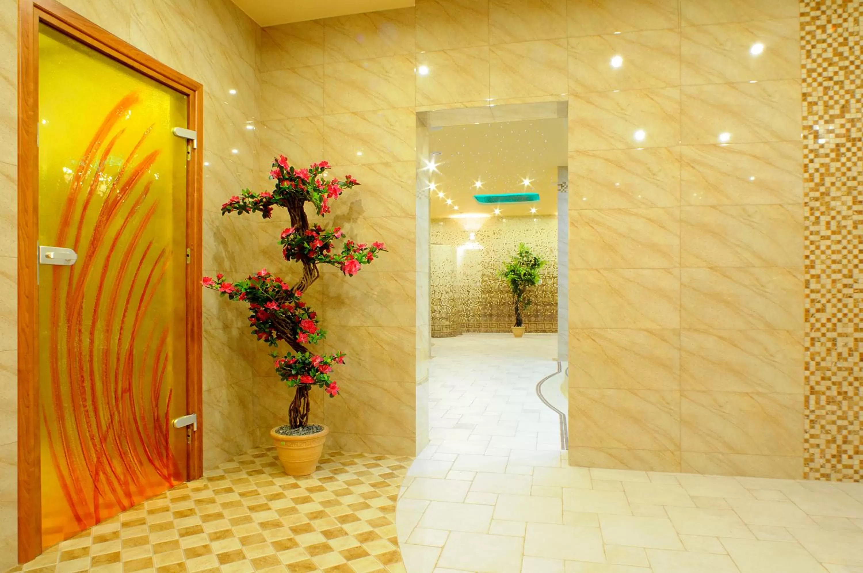 Spa and wellness centre/facilities in Hotel i Restauracja Bona