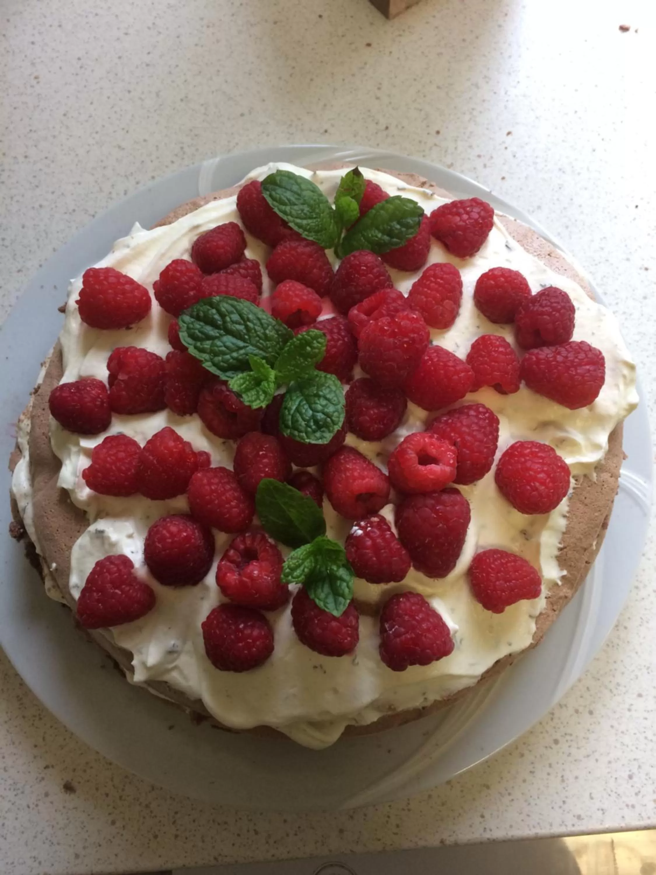 Food in skummeslöv B & B