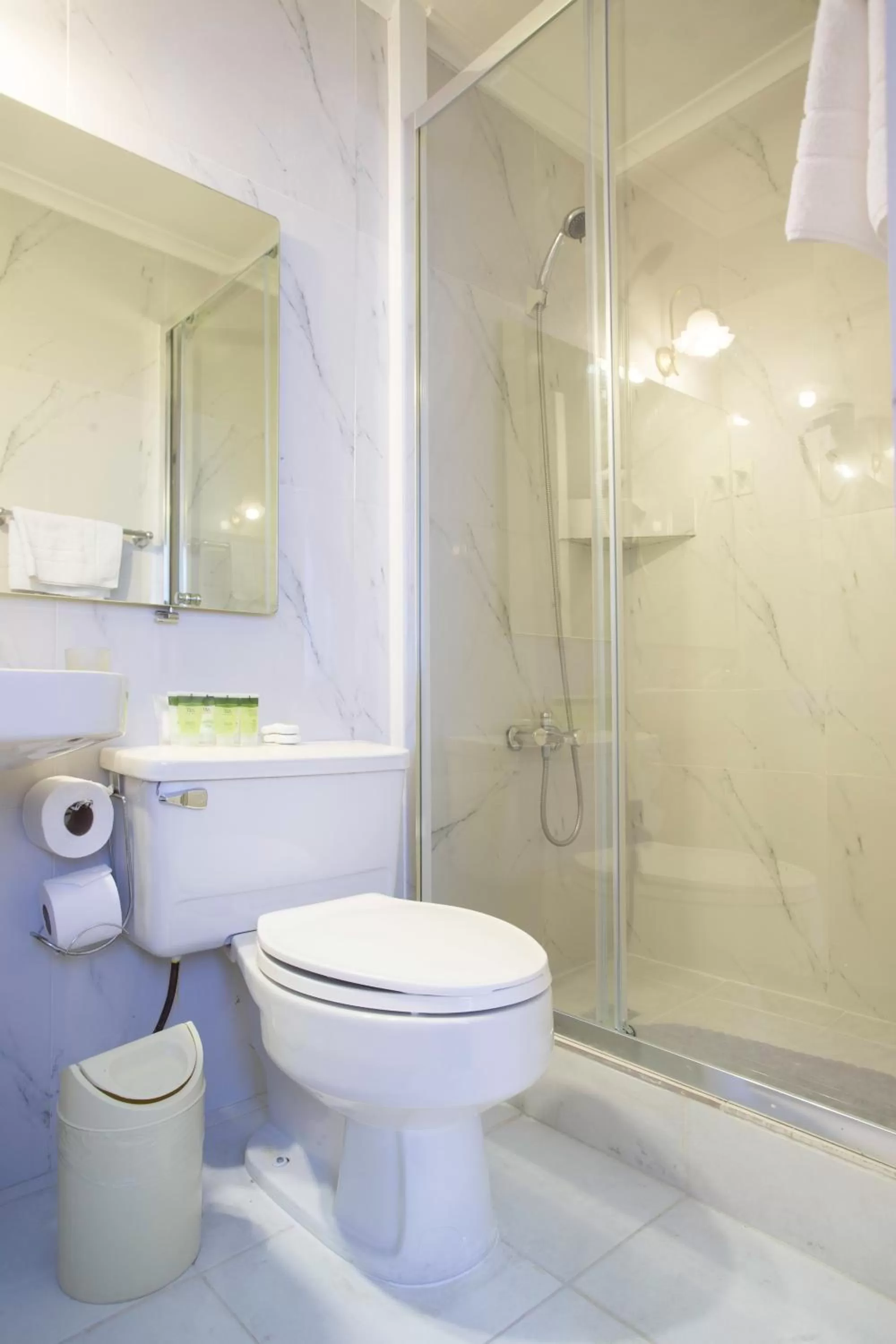 Shower in Hotel Plaza