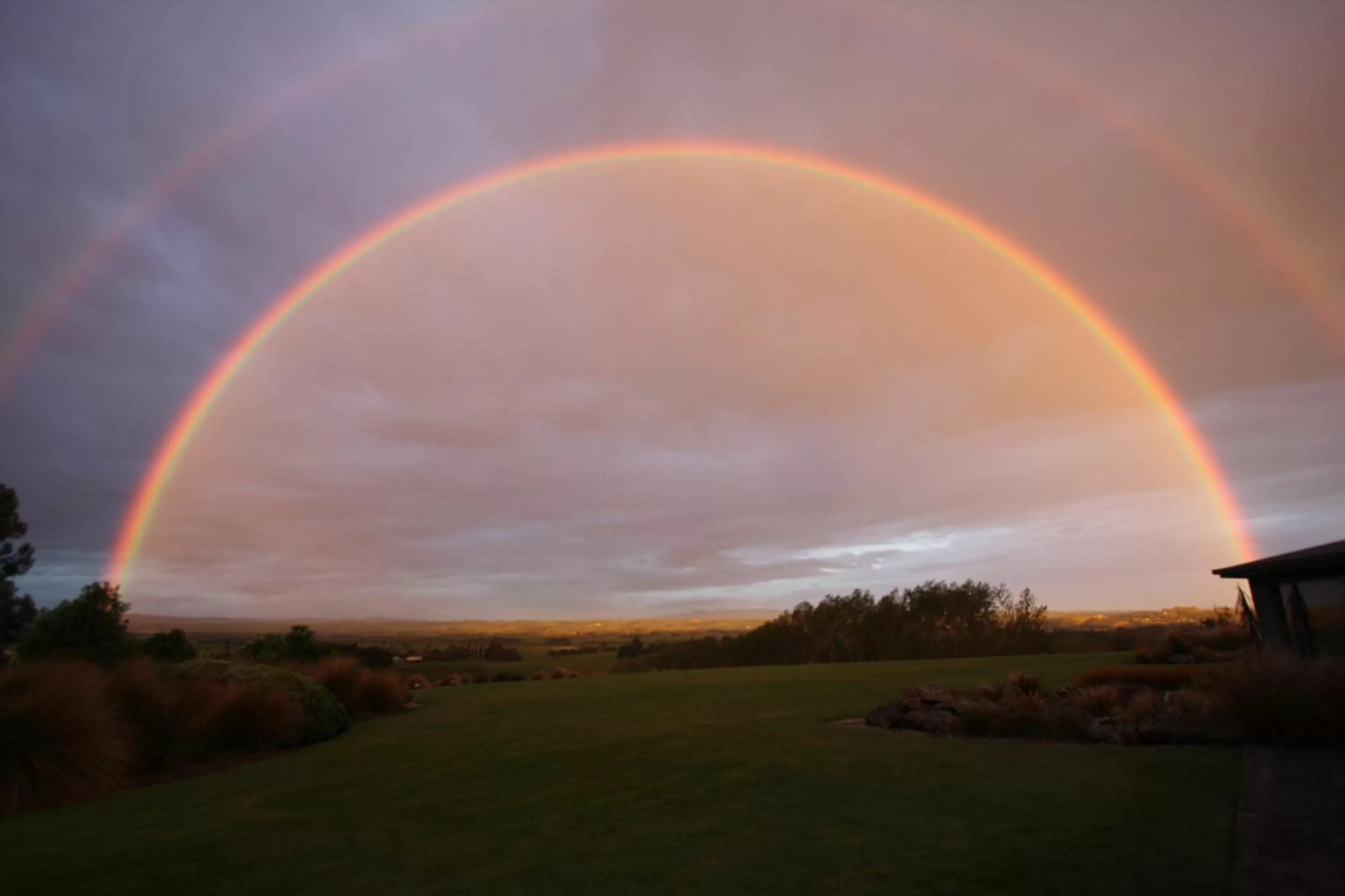 Garden view in Hokonui Bed & Breakfast