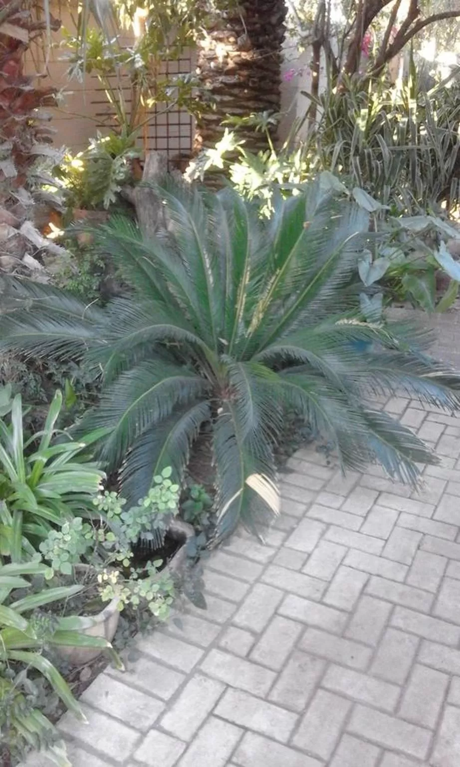 Garden view, Garden in Poetry Guestrooms