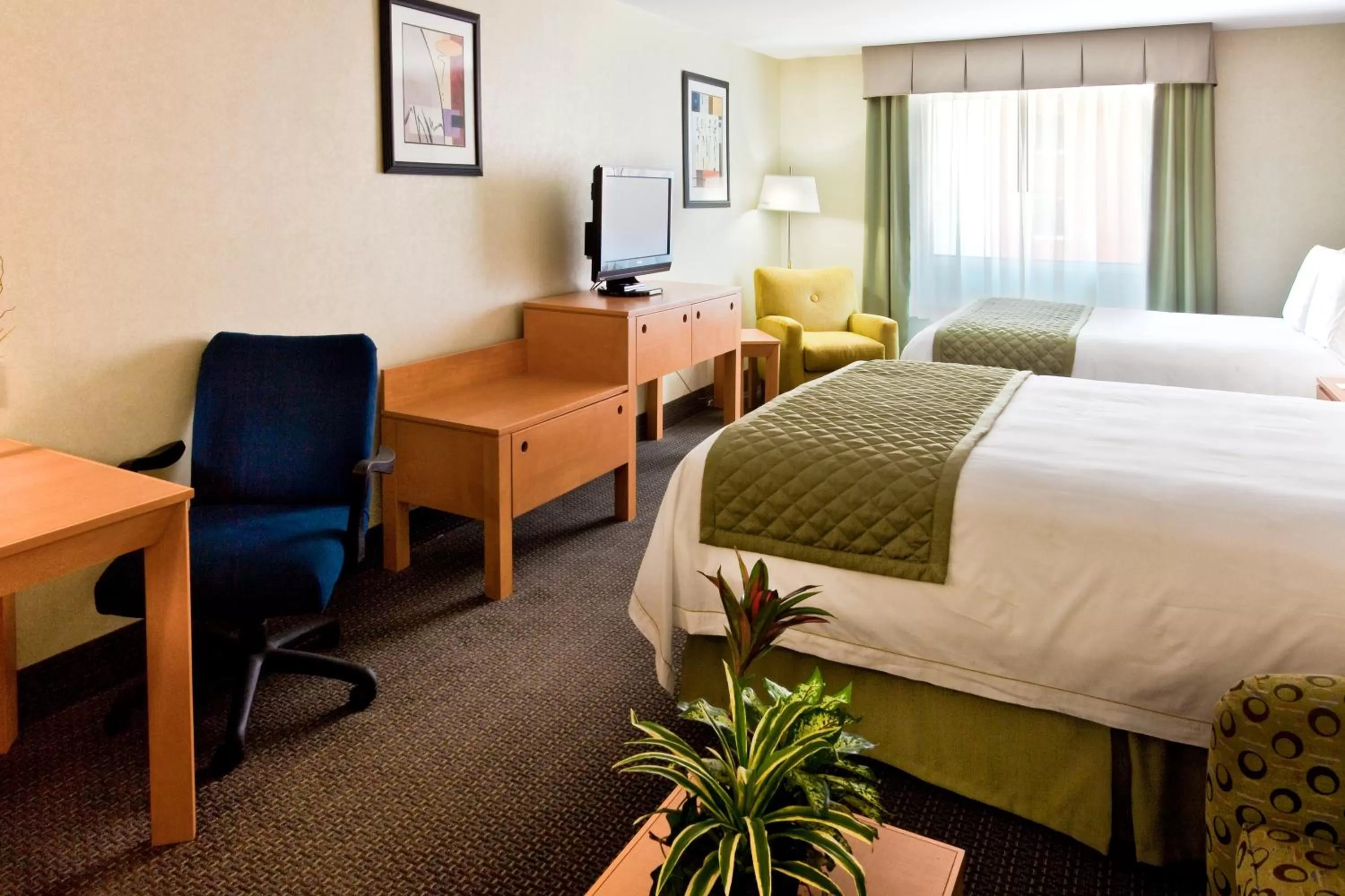 Photo of the whole room, Bed in Holiday Inn Express & Suites Monterrey Aeropuerto by IHG
