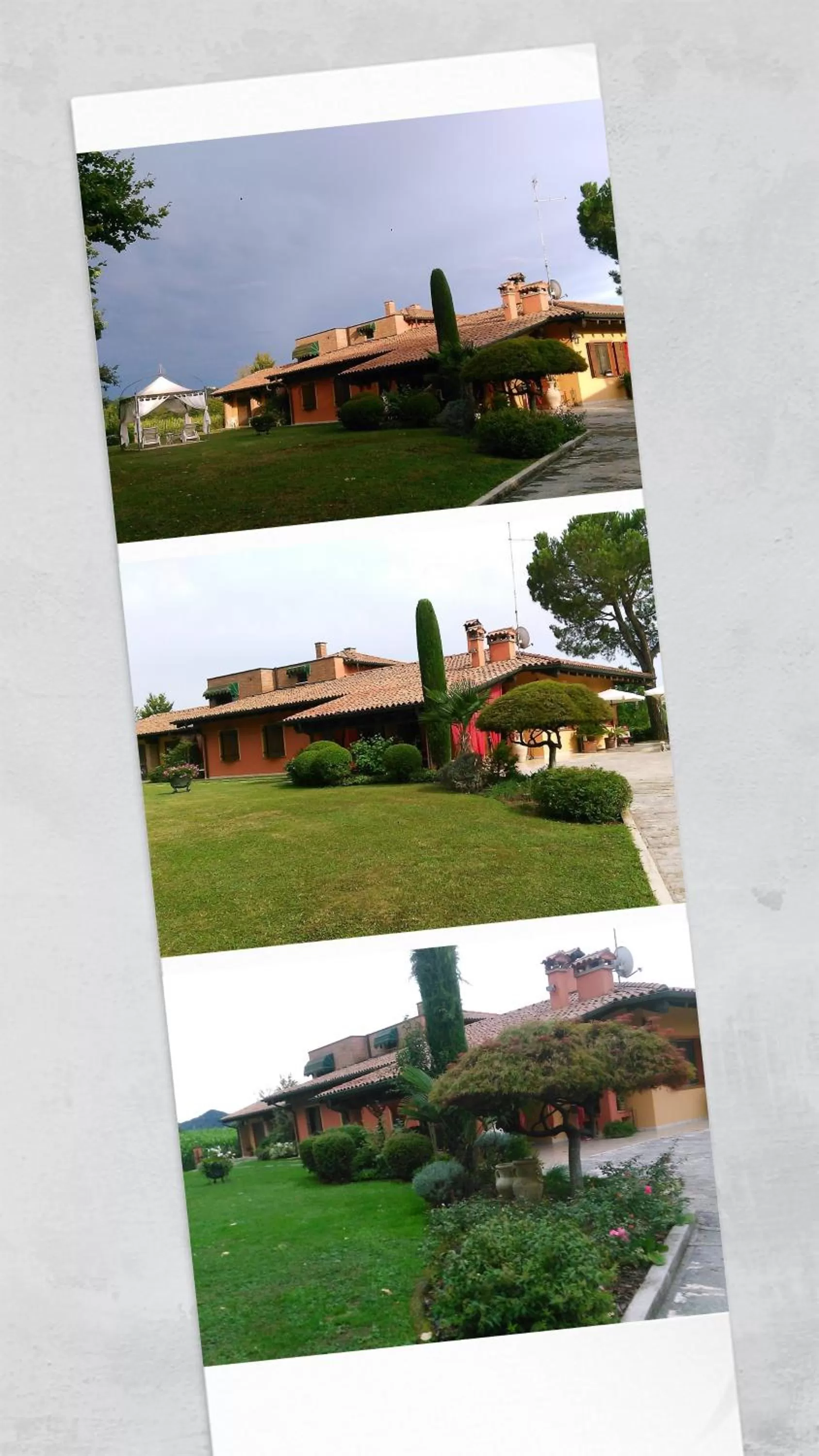 Garden view in B&B Sweet Dreams