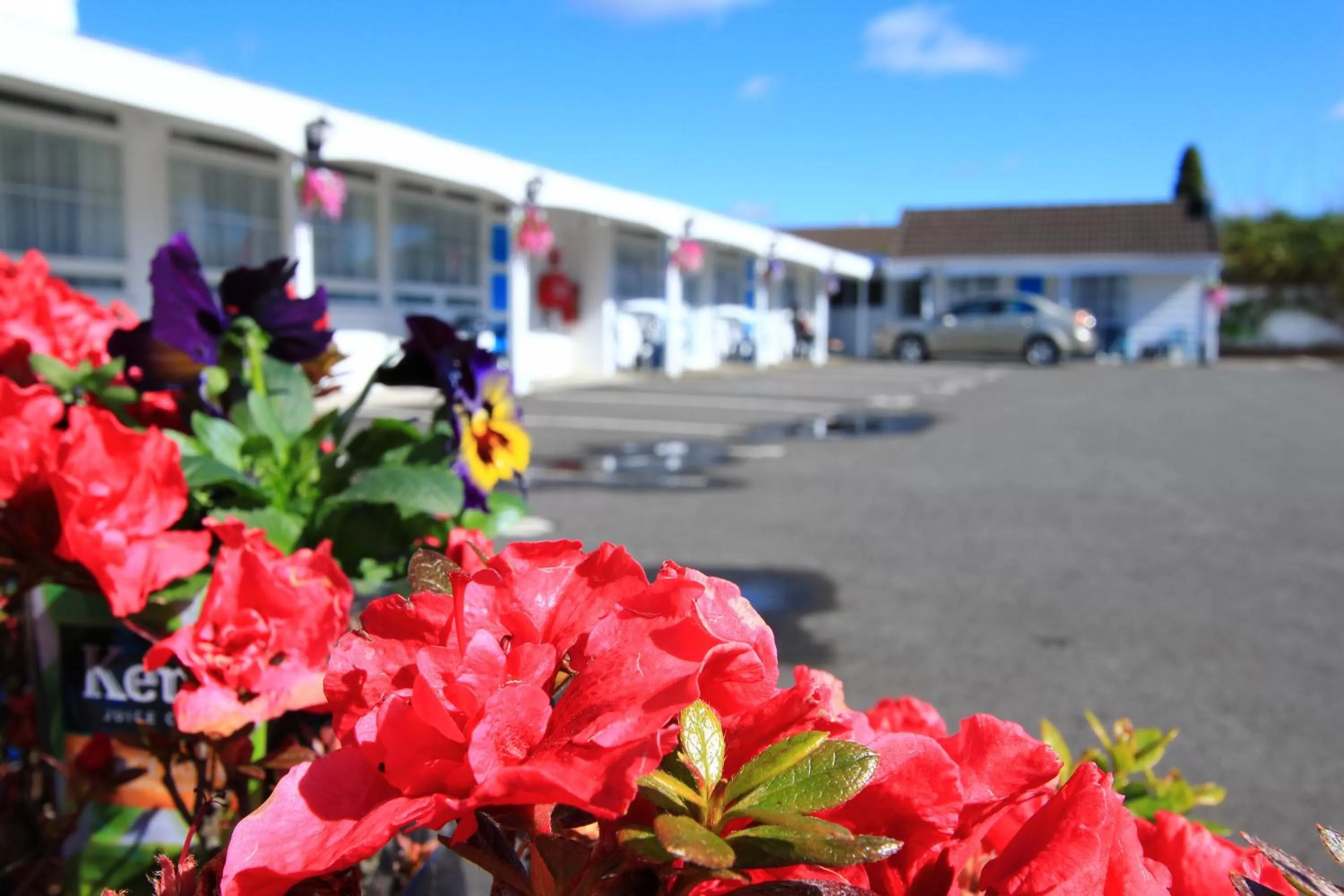 Property building in Golden Glow Motel