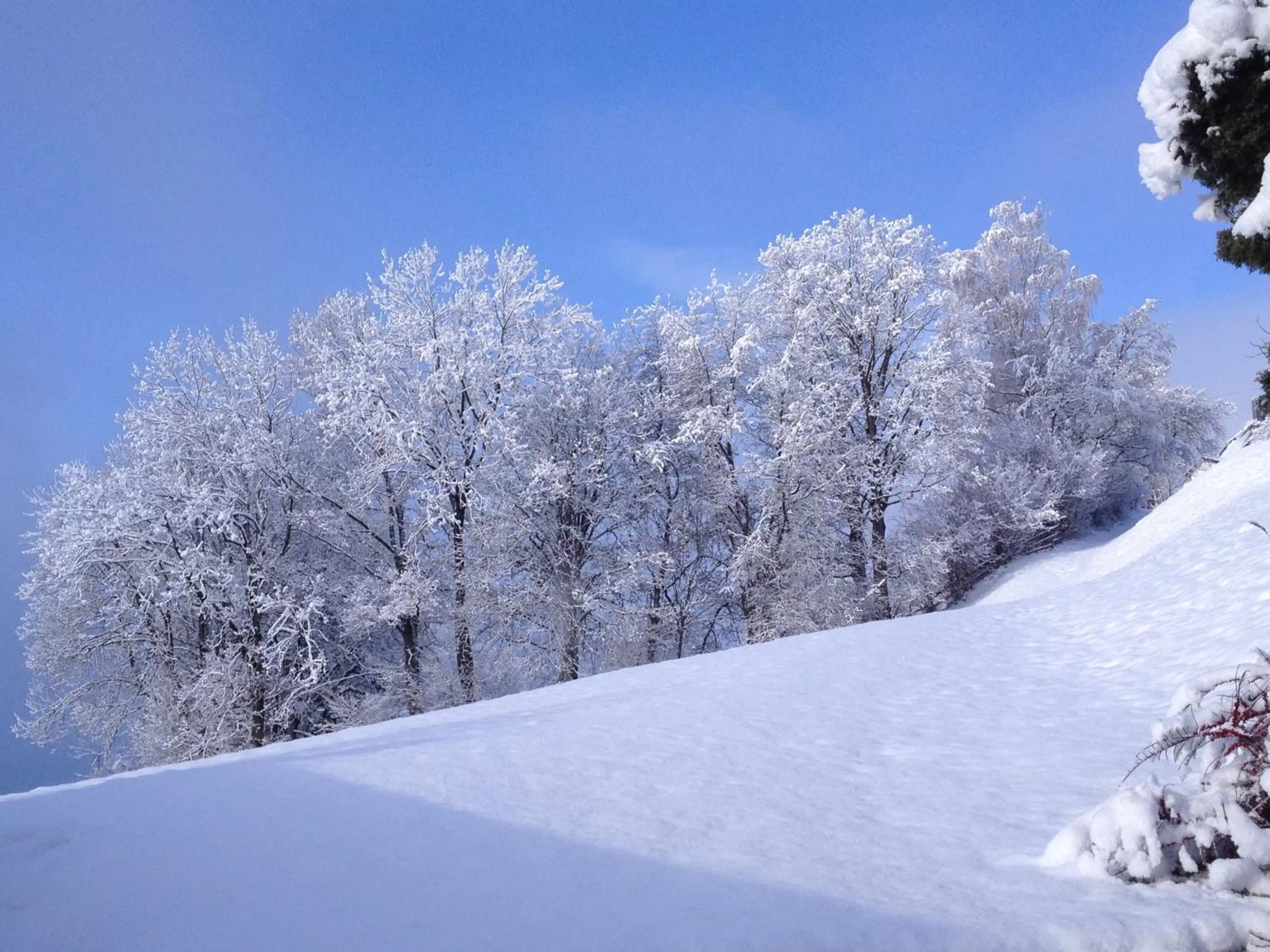 Winter in Pension Schlossberg