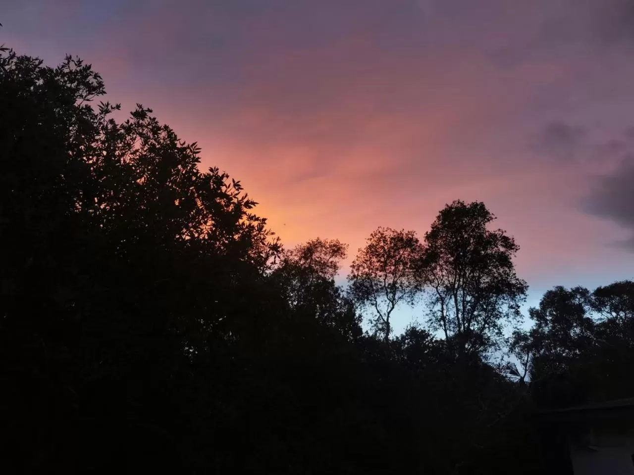 แกรนด์ ฟอเรสท์ Grand Forest