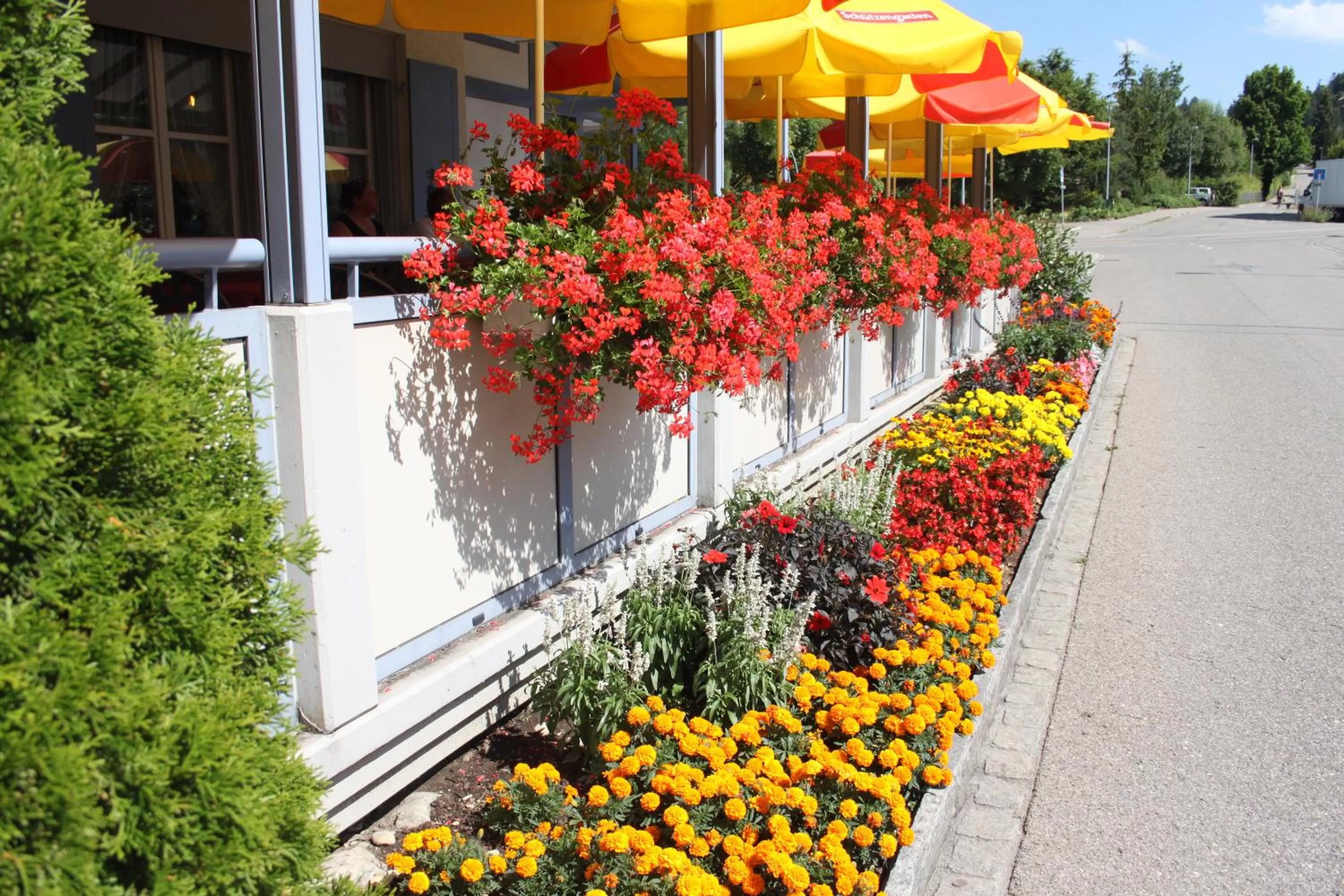 Balcony/Terrace, Garden in Hotel Toggenburgerhof