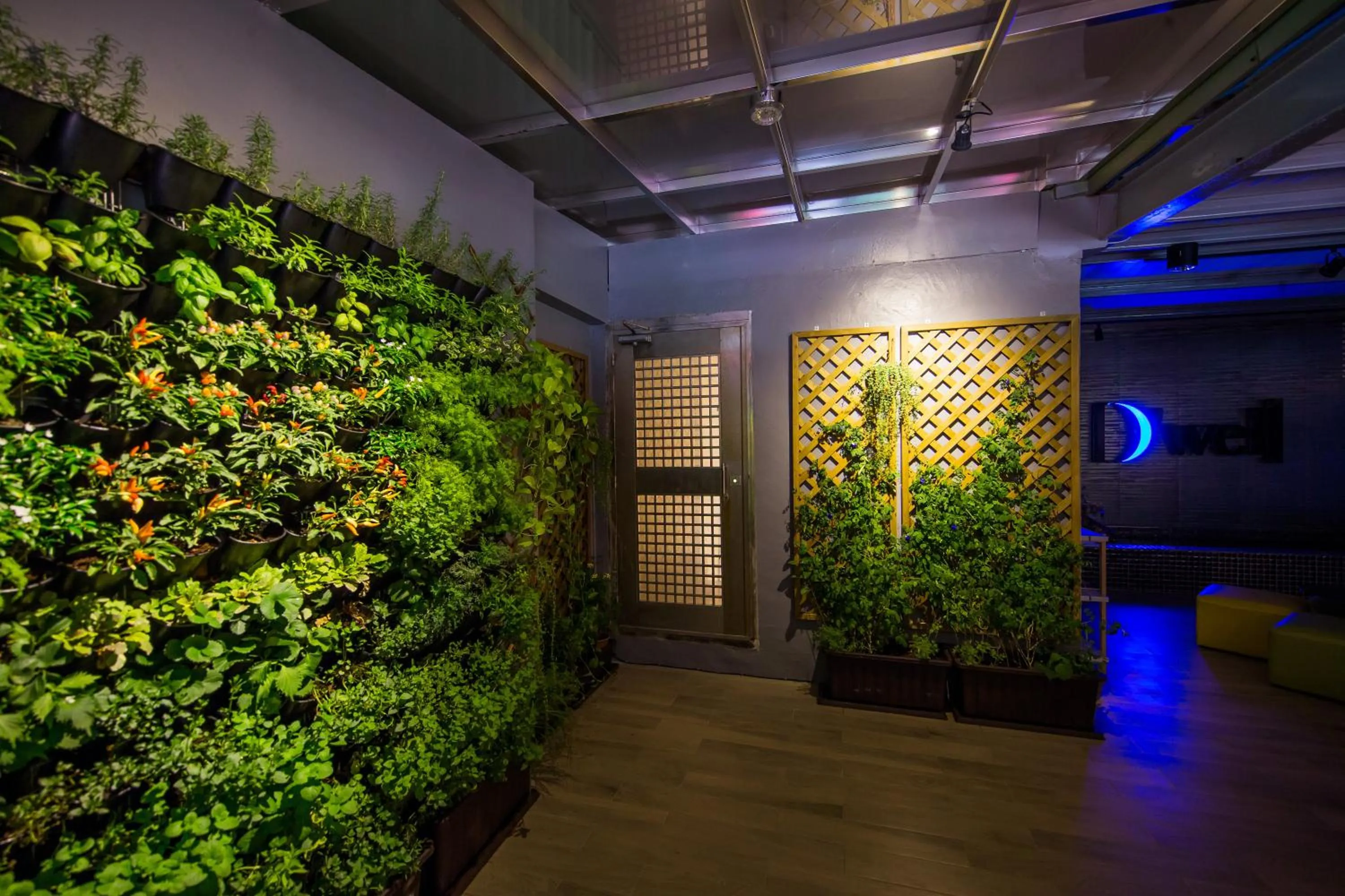 Communal lounge/ TV room in 旅悅 國際青年旅館 DreamWell Hostel