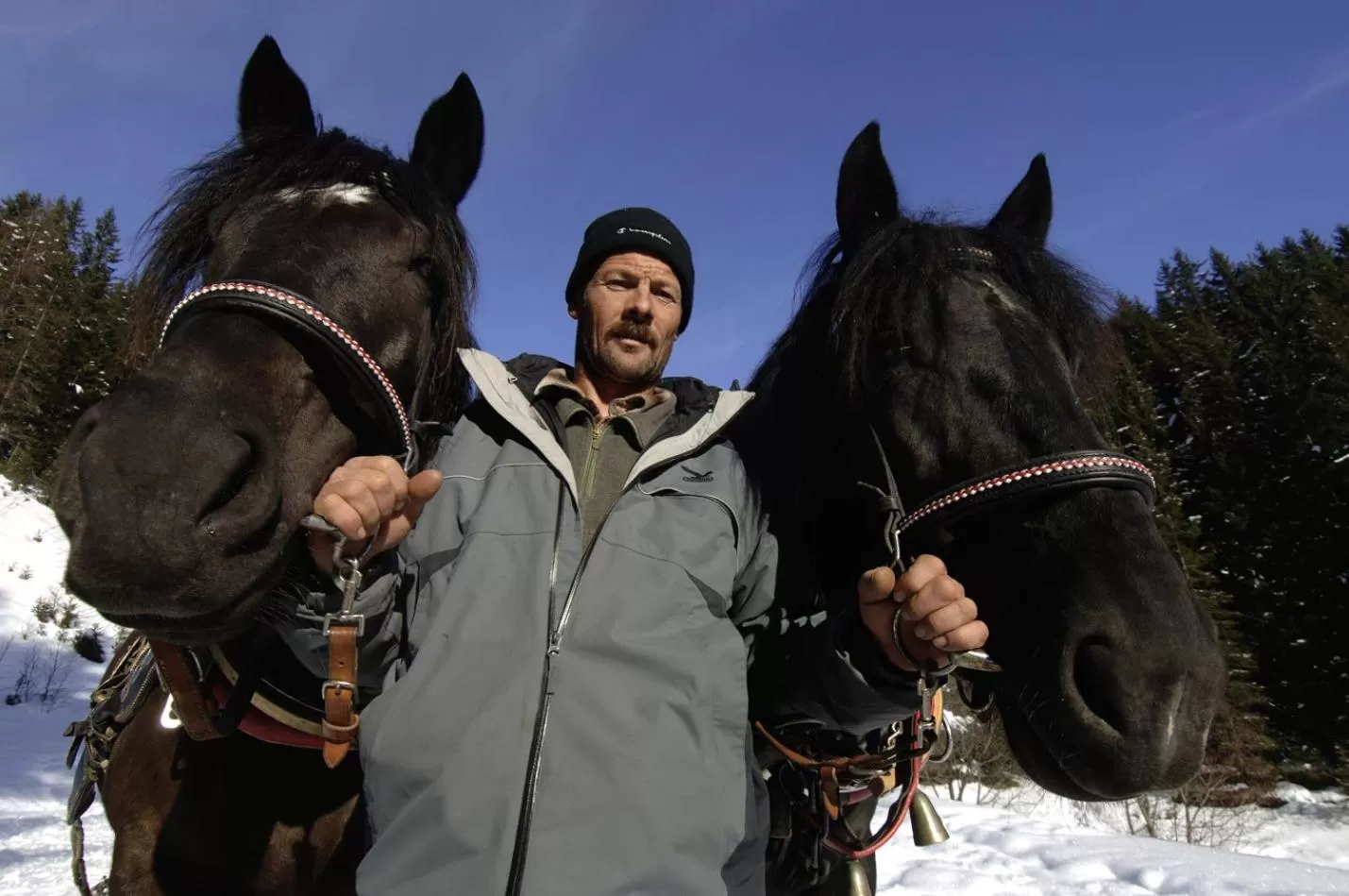 Animals in Bio Aparthotel Blaslahof