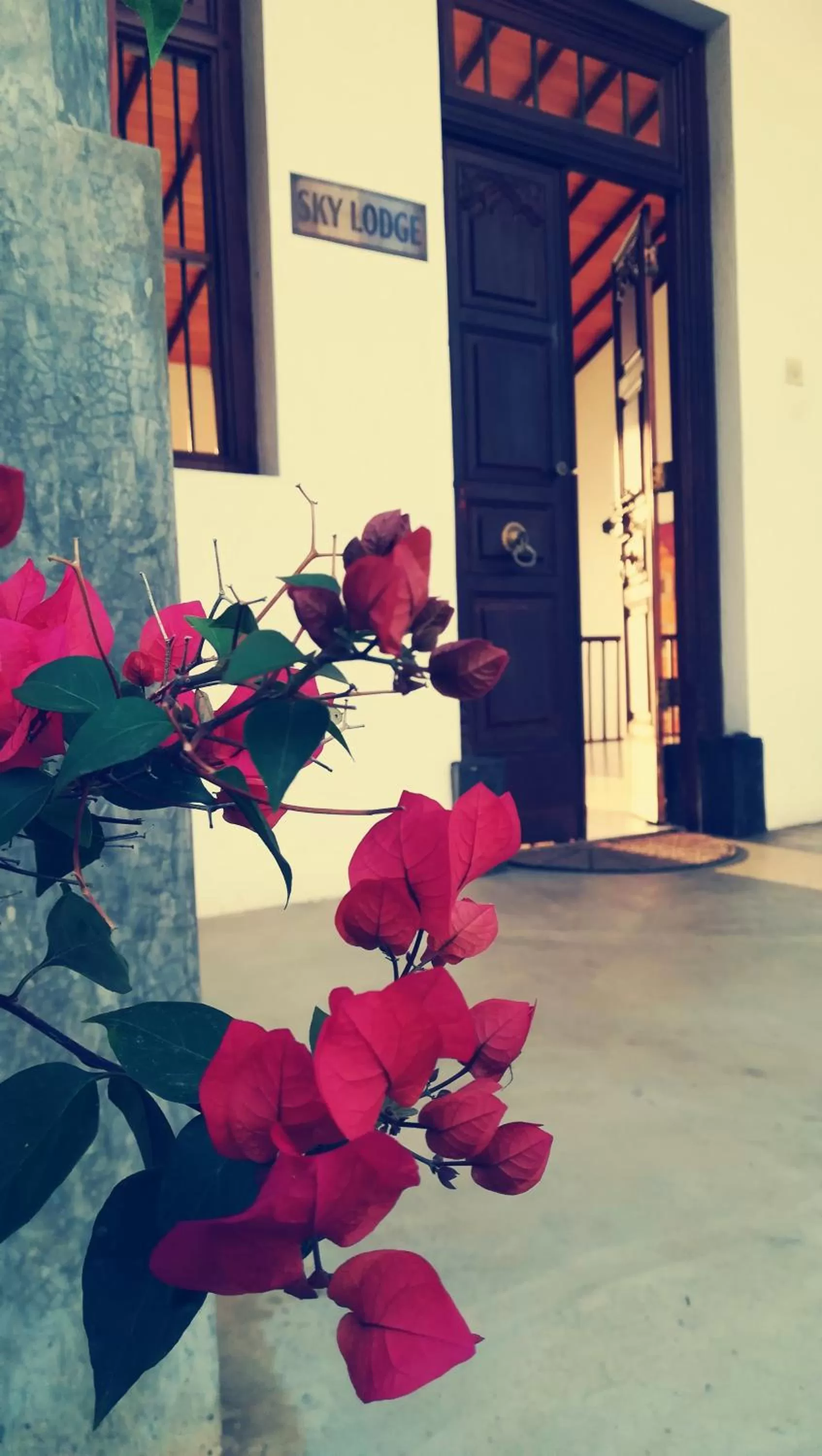 Facade/entrance in Sky Lodge