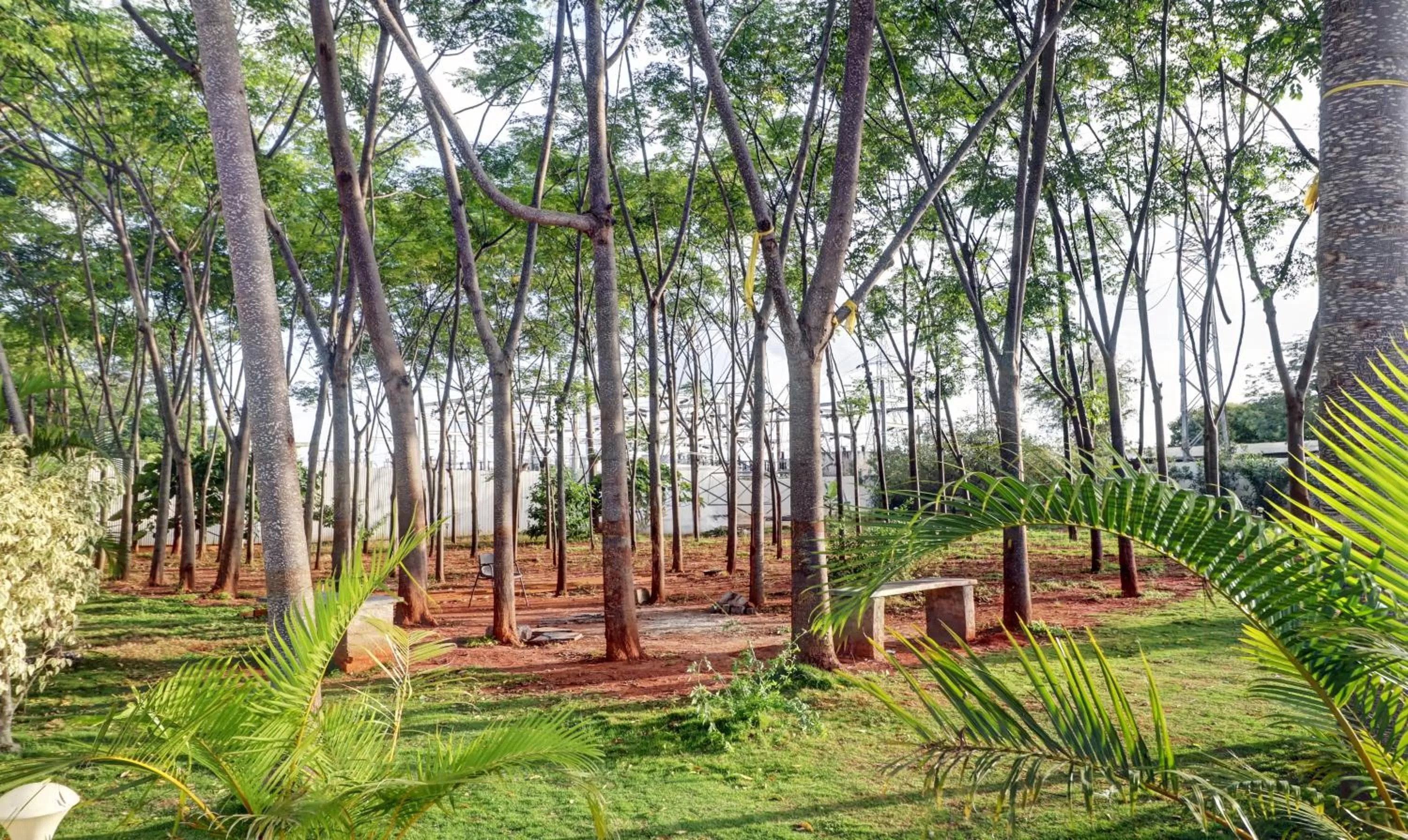 Garden in Treebo Trend Grand JP Inn