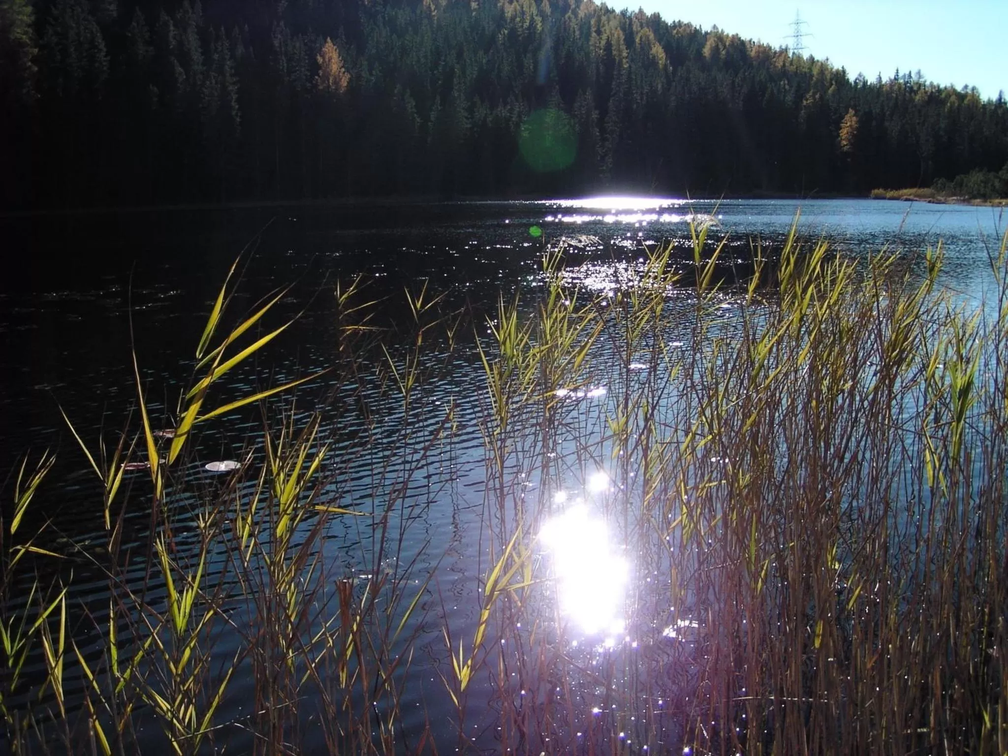 Natural landscape in Alpengasthof Norbertshöhe Superior