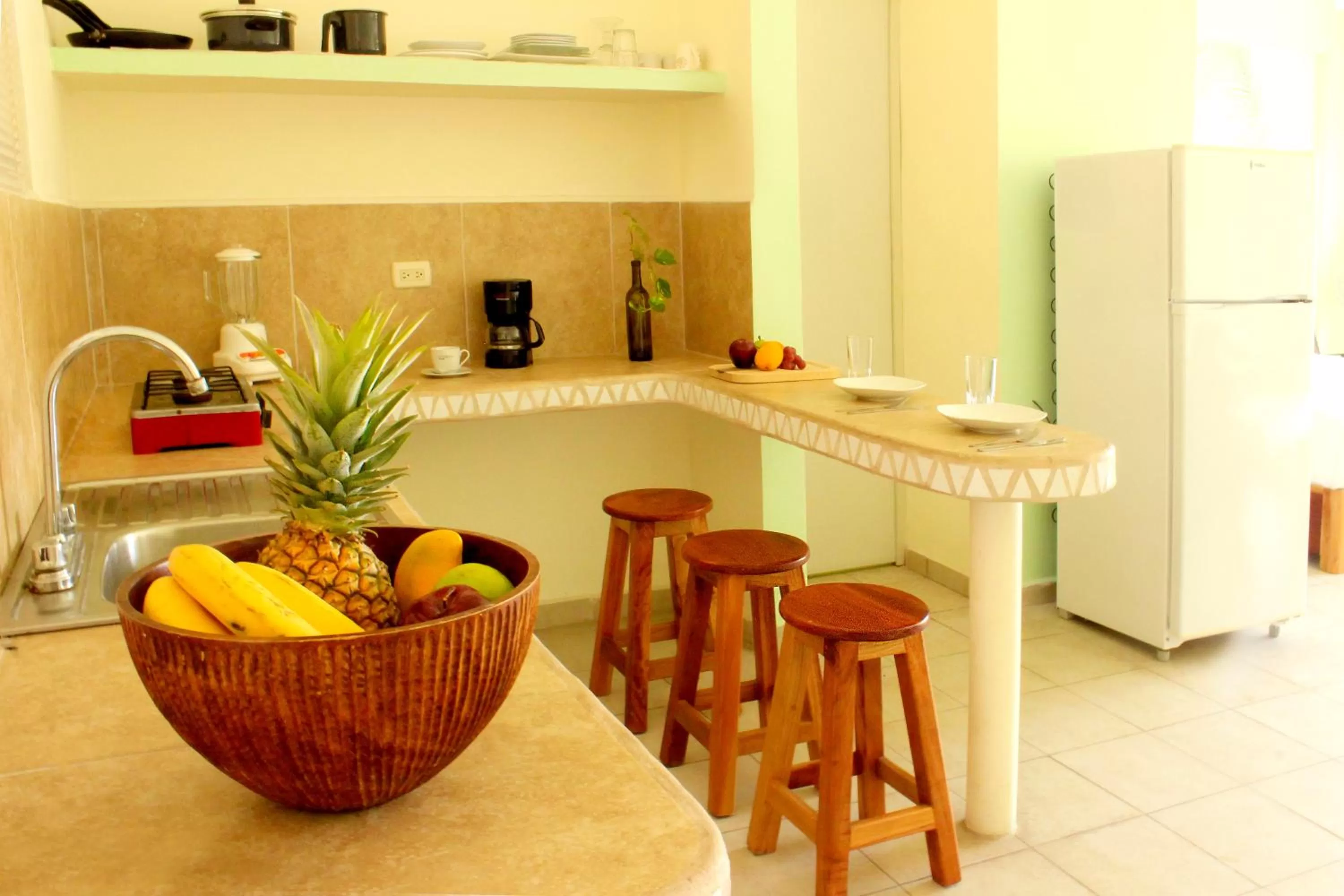 Coffee/tea facilities, Kitchen/Kitchenette in La Palmita Budget Boutique Hotel