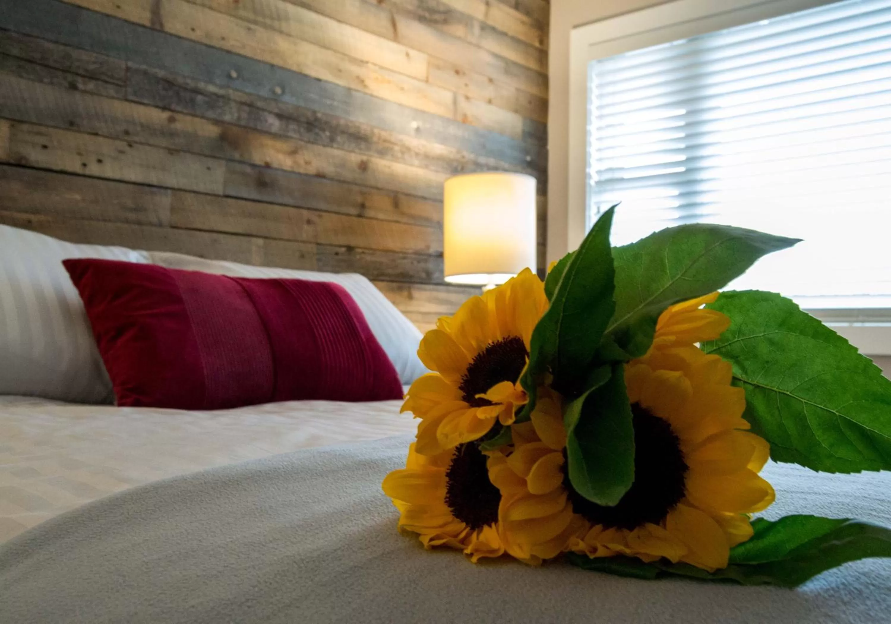 Day, Bed in Lake Placid Inn: Residences