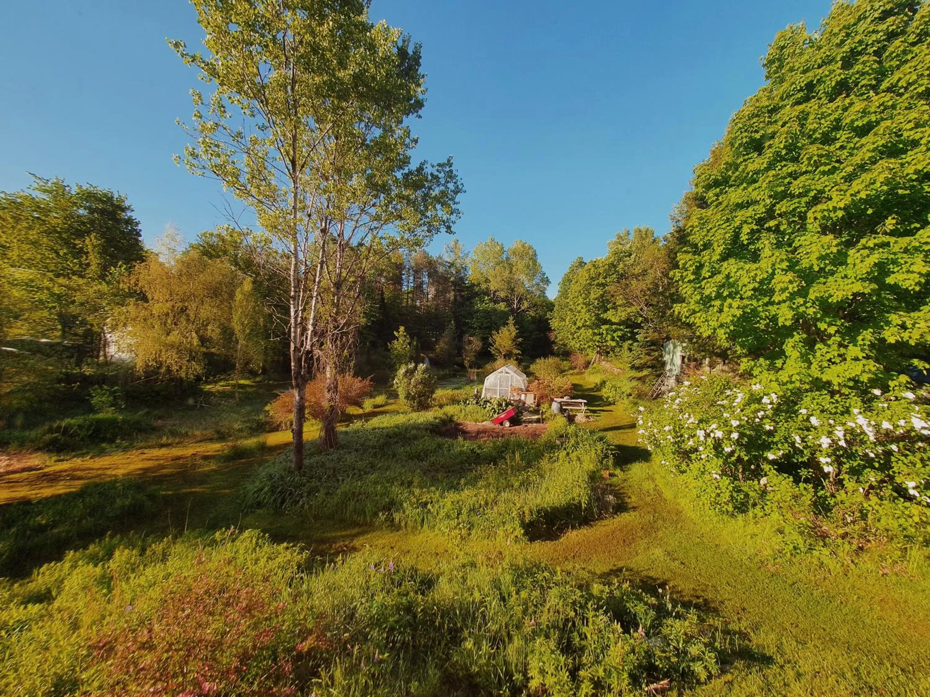 Garden in Le Salon des Inconnus