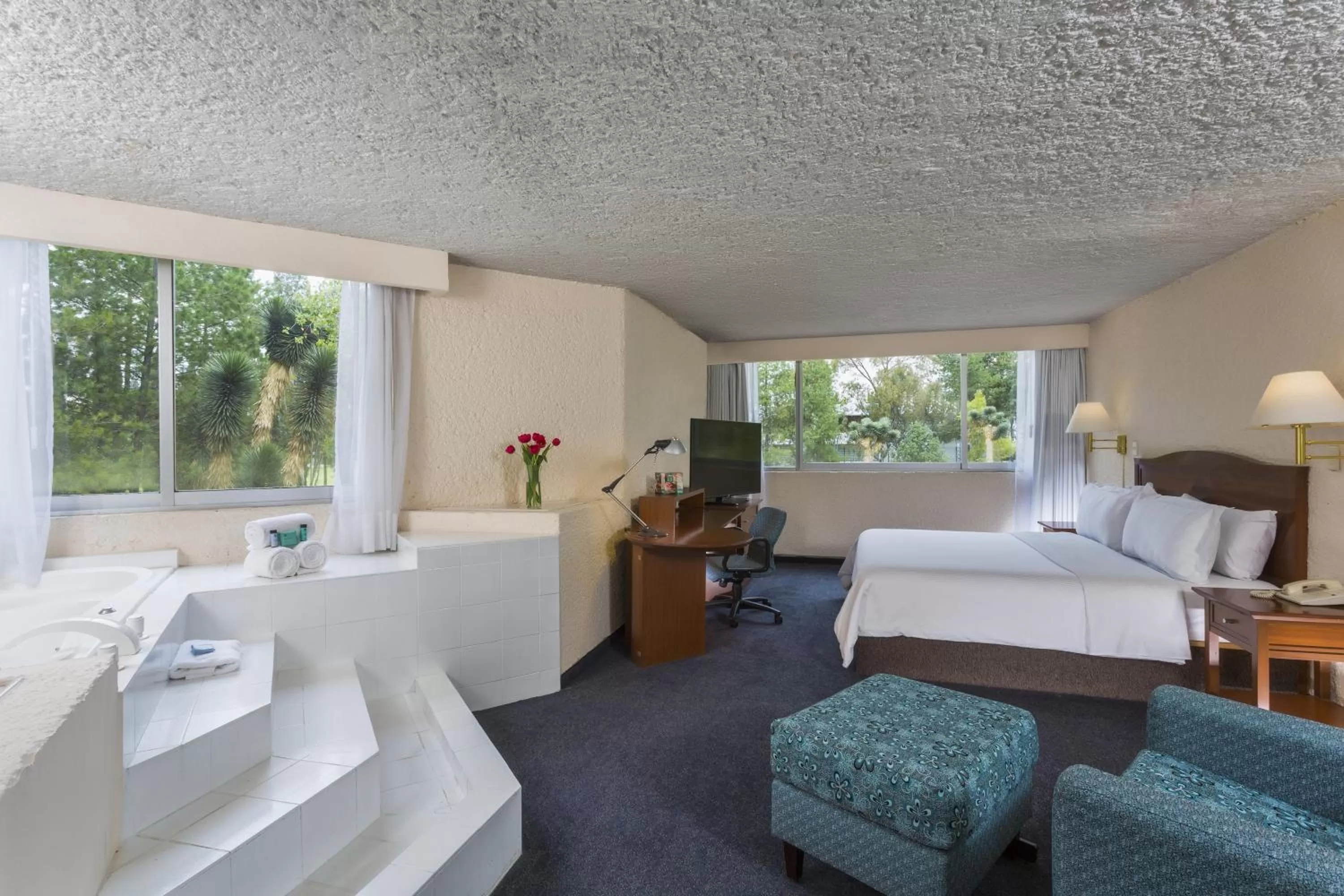 Photo of the whole room, Bed in Gamma Pachuca