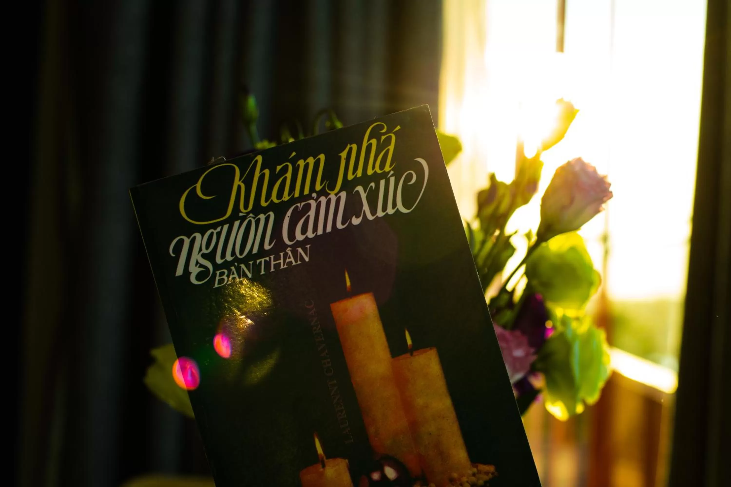 Moonlight Bay Hotel & Apartment