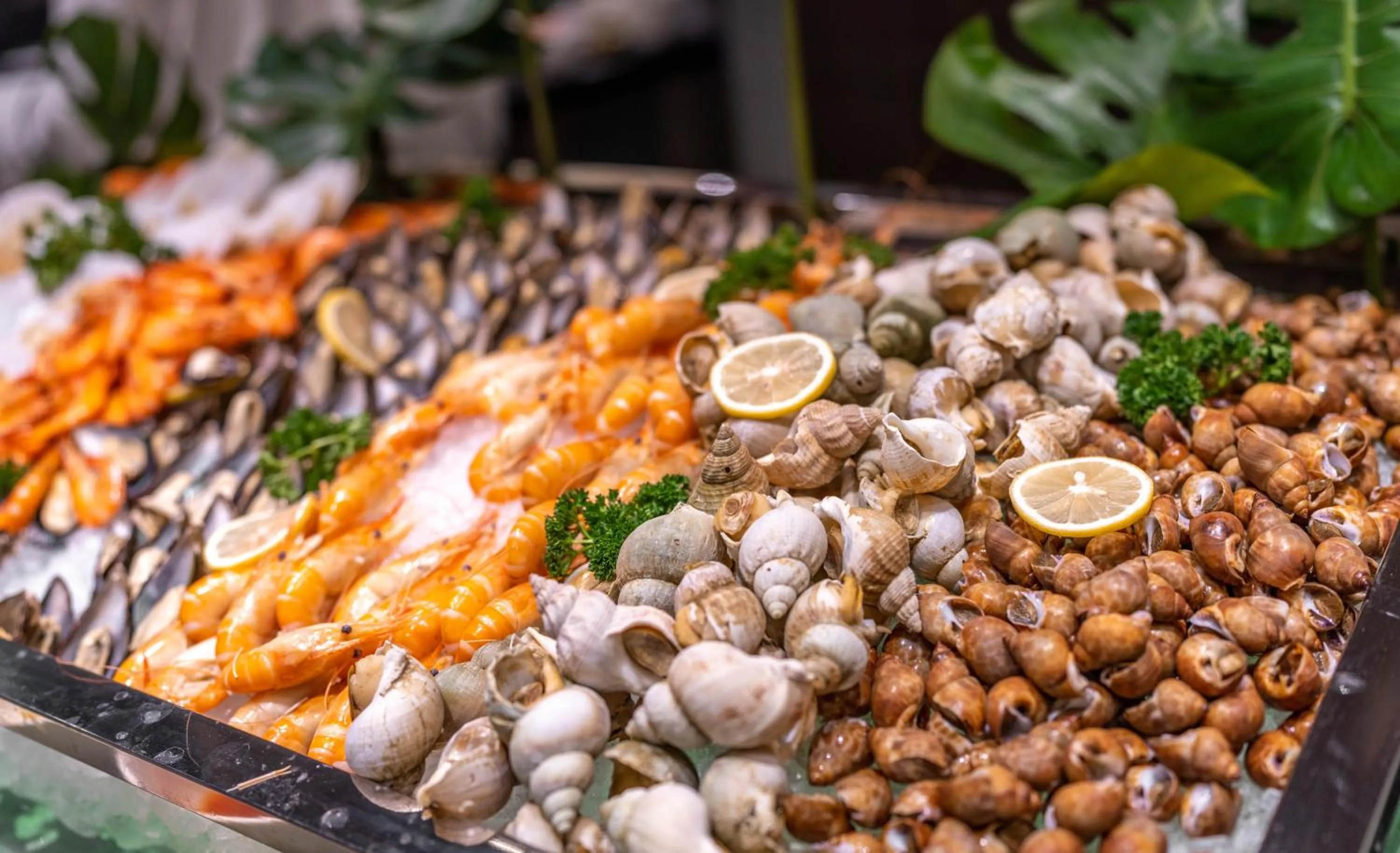 Restaurant/places to eat in Shangri-La Wuhan