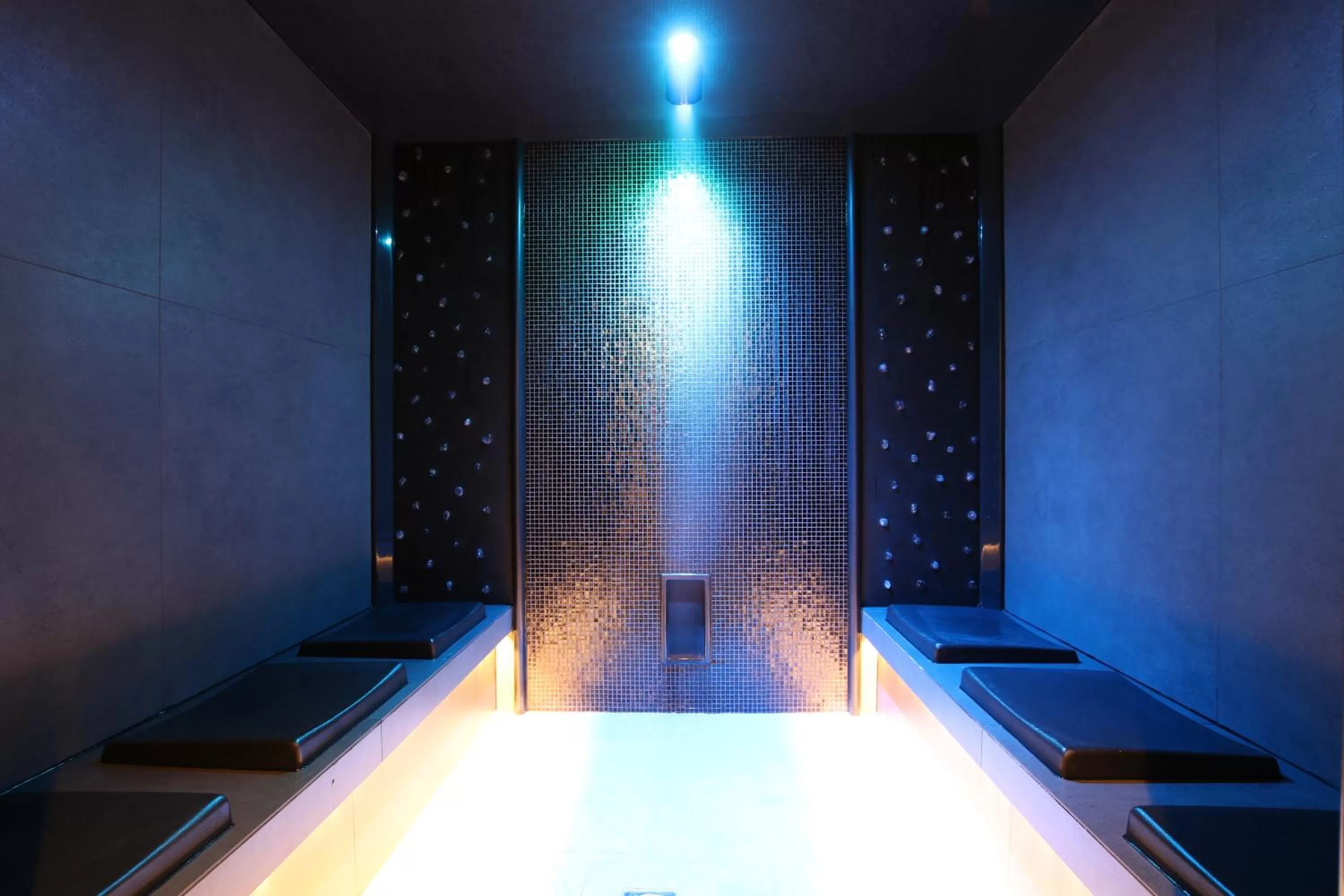 Steam room, Bed in Hotel Schwarzer Adler