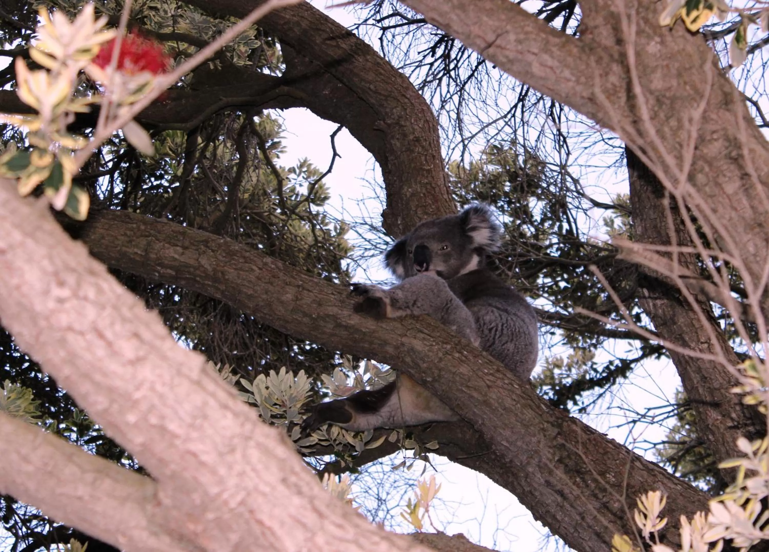 Portland Retro Motel