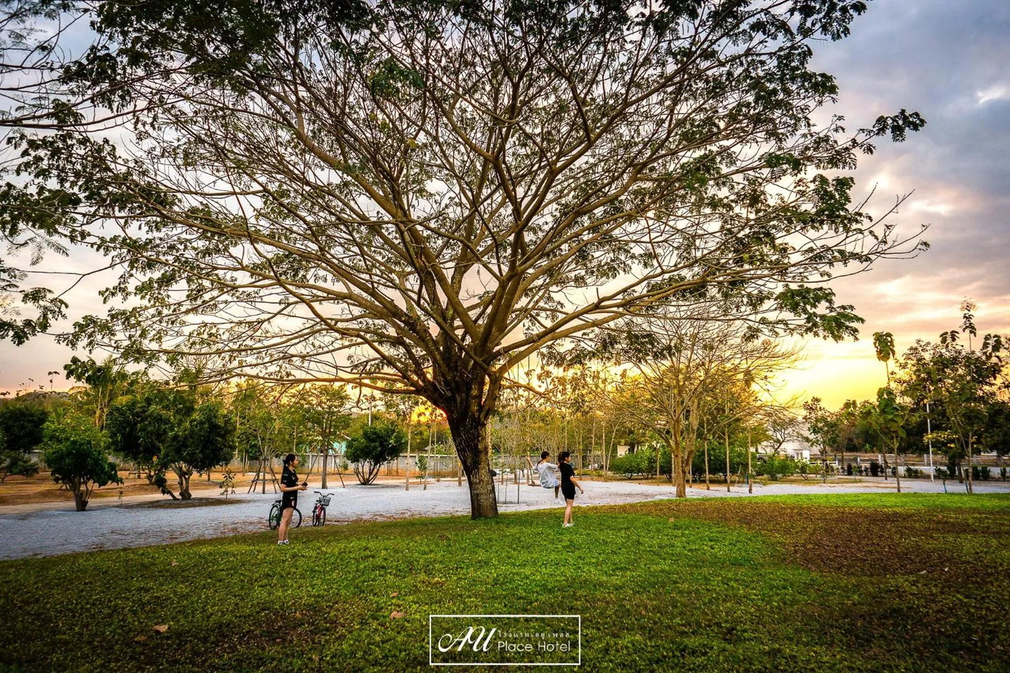 Natural landscape in AU Place Hotel