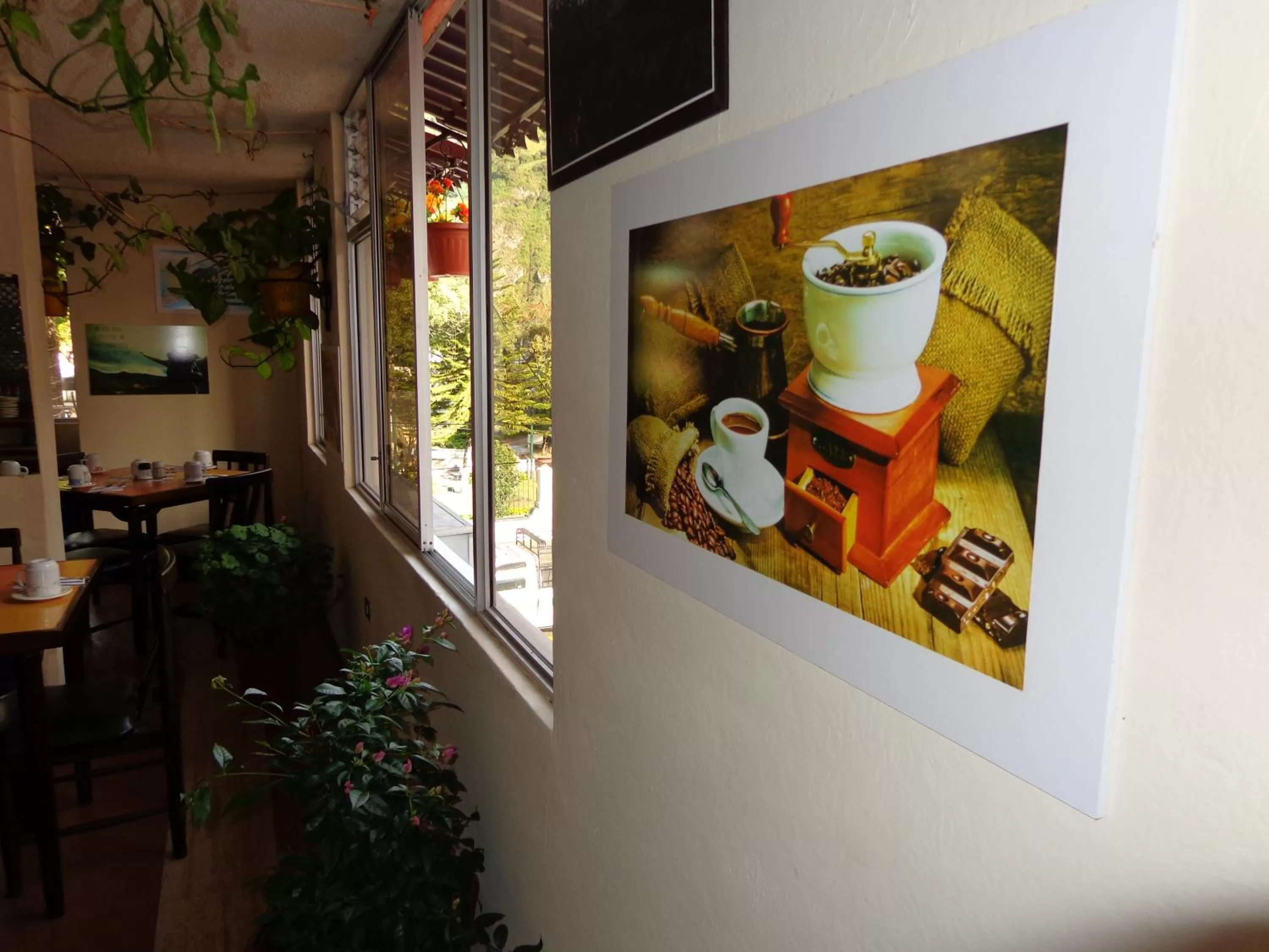 Hotel Flor de Oriente