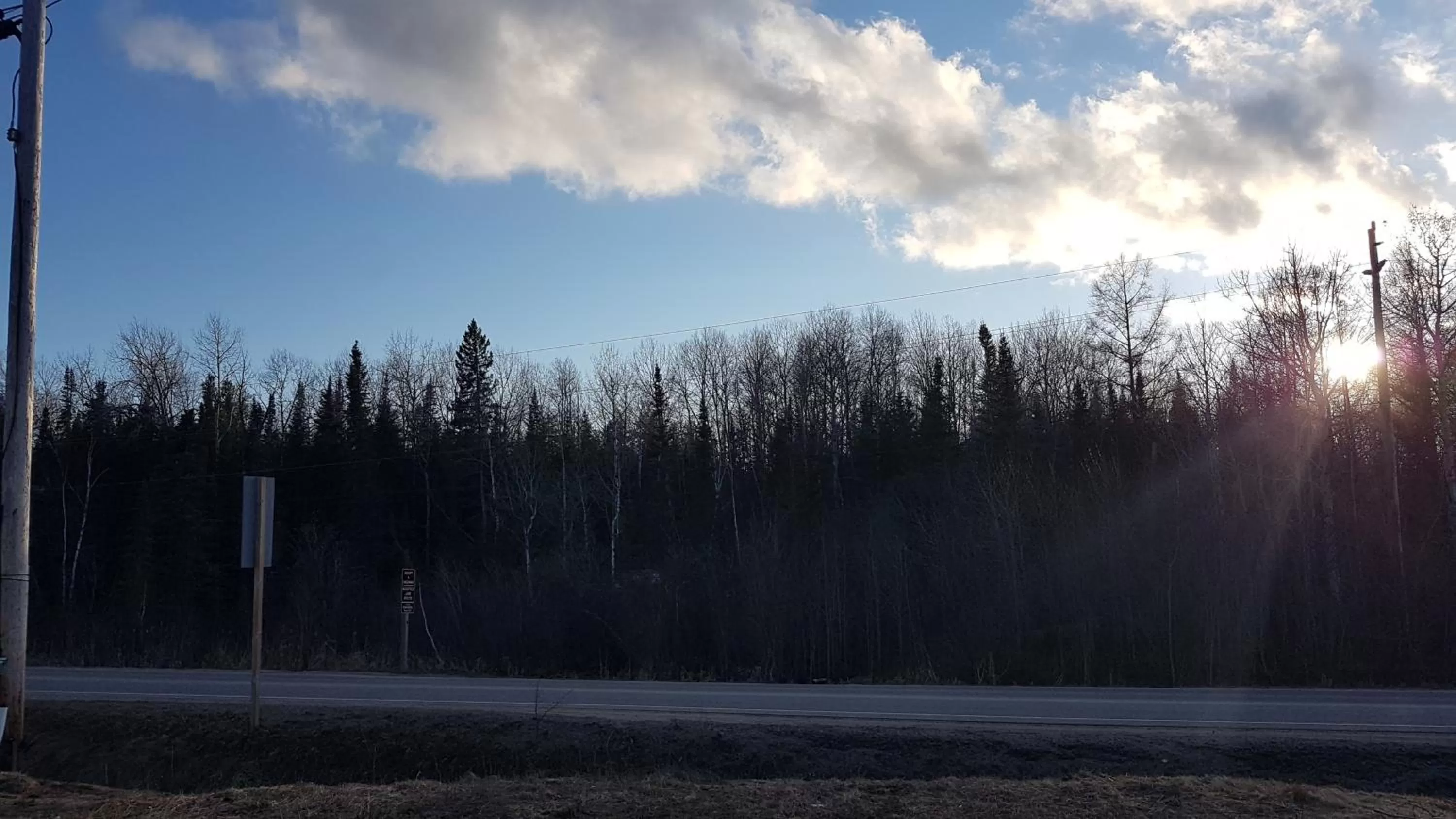 Natural landscape in Executive Suites