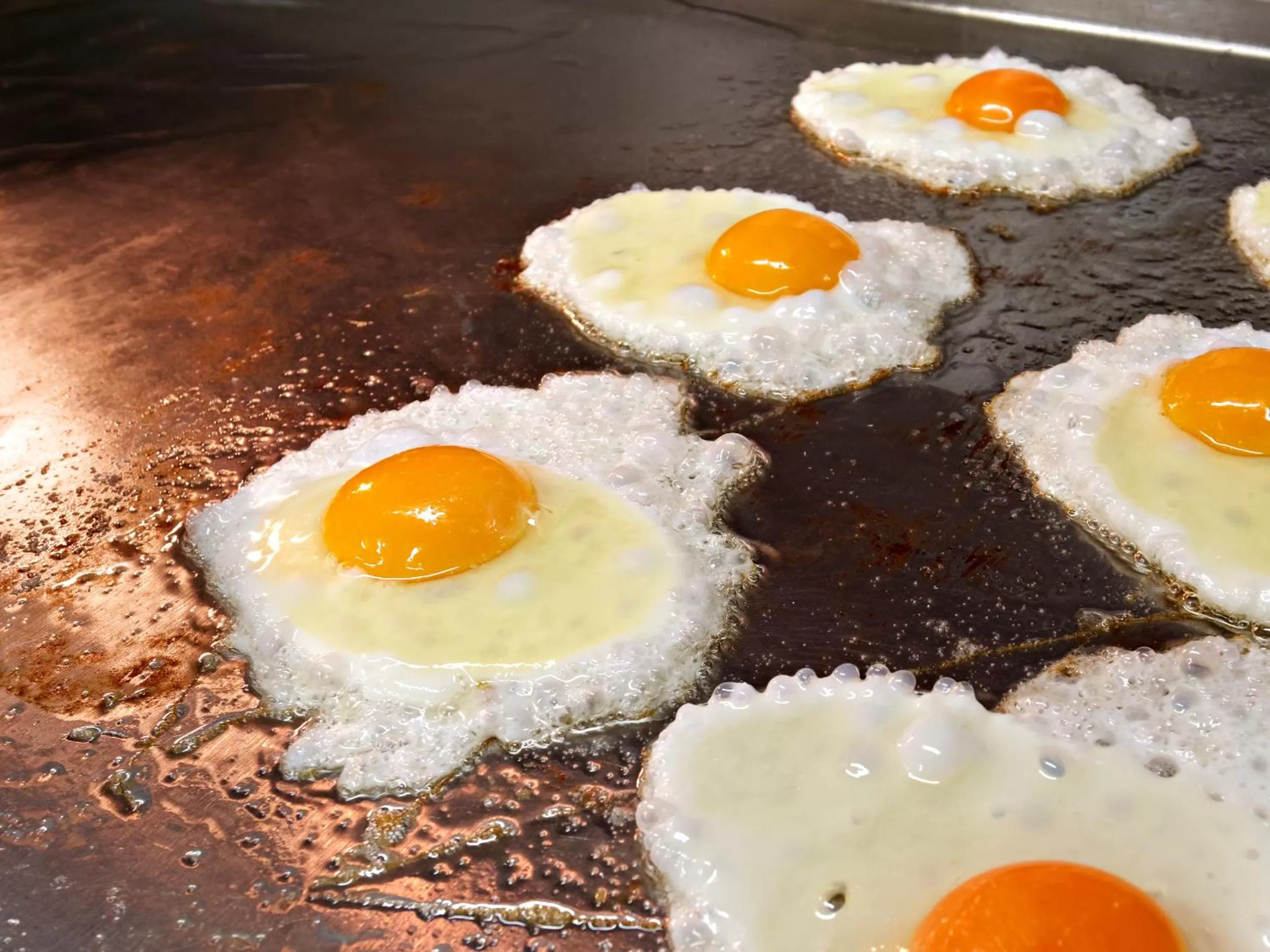 Breakfast in V8 HOTEL Motorworld Region Stuttgart