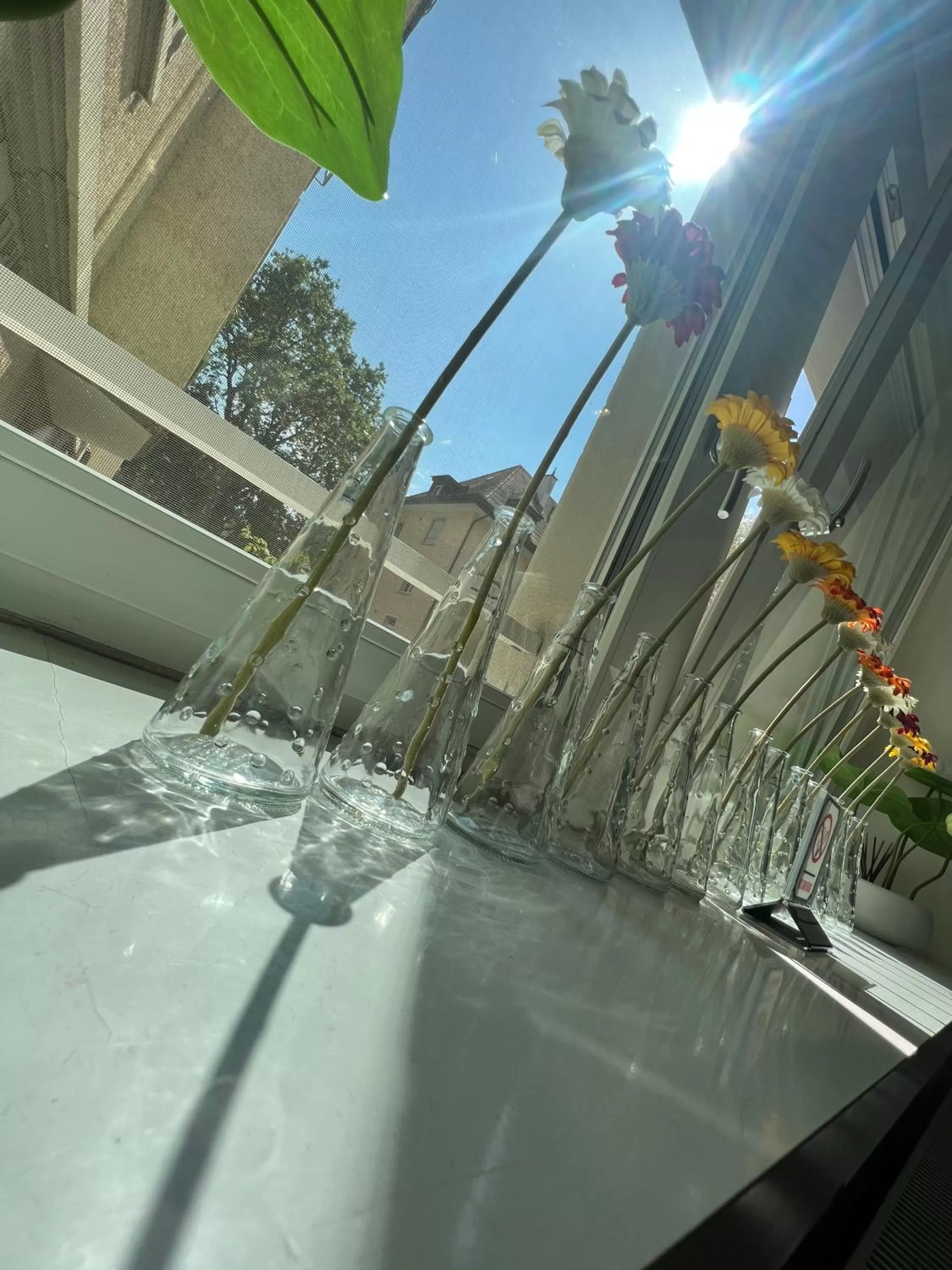 Day in Seefeld Residenz