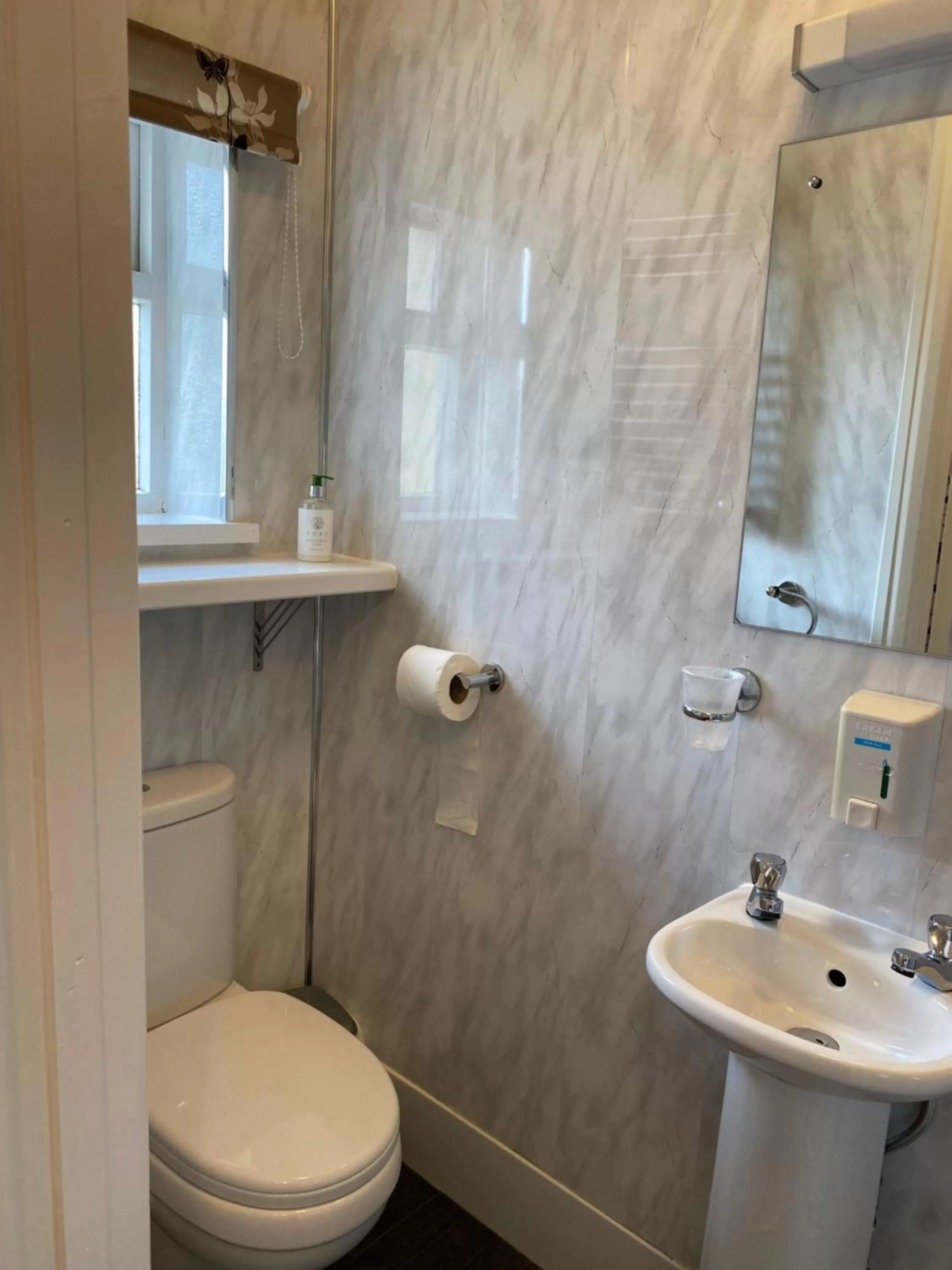 Toilet in Paignton Court