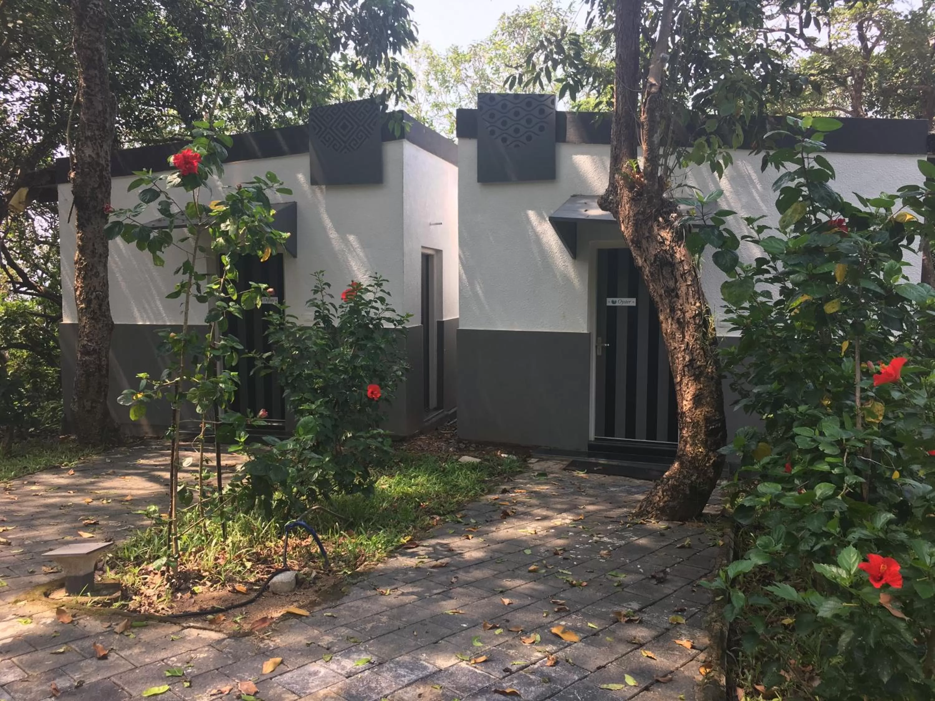 Property Building in Cintacor Island Resort