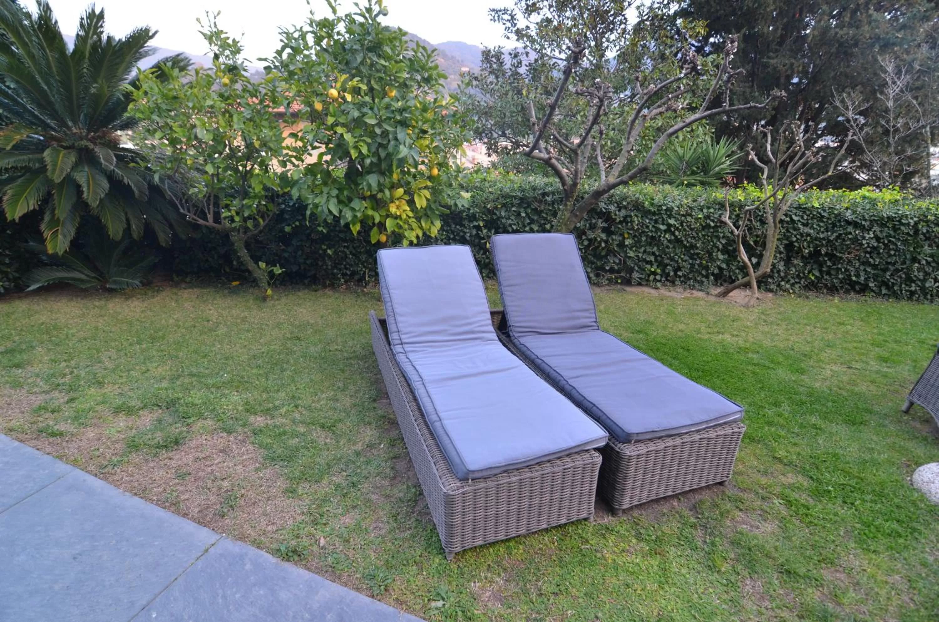 Garden in Villa Margherita