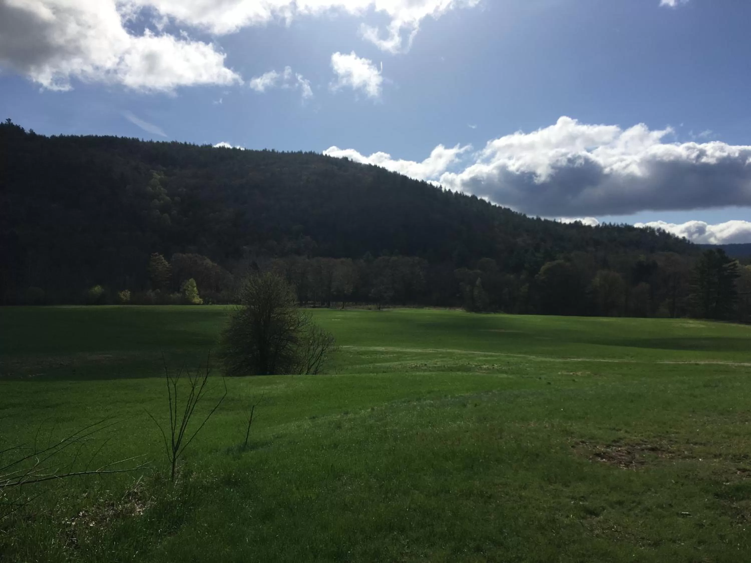 Natural landscape in The Lodge at West River