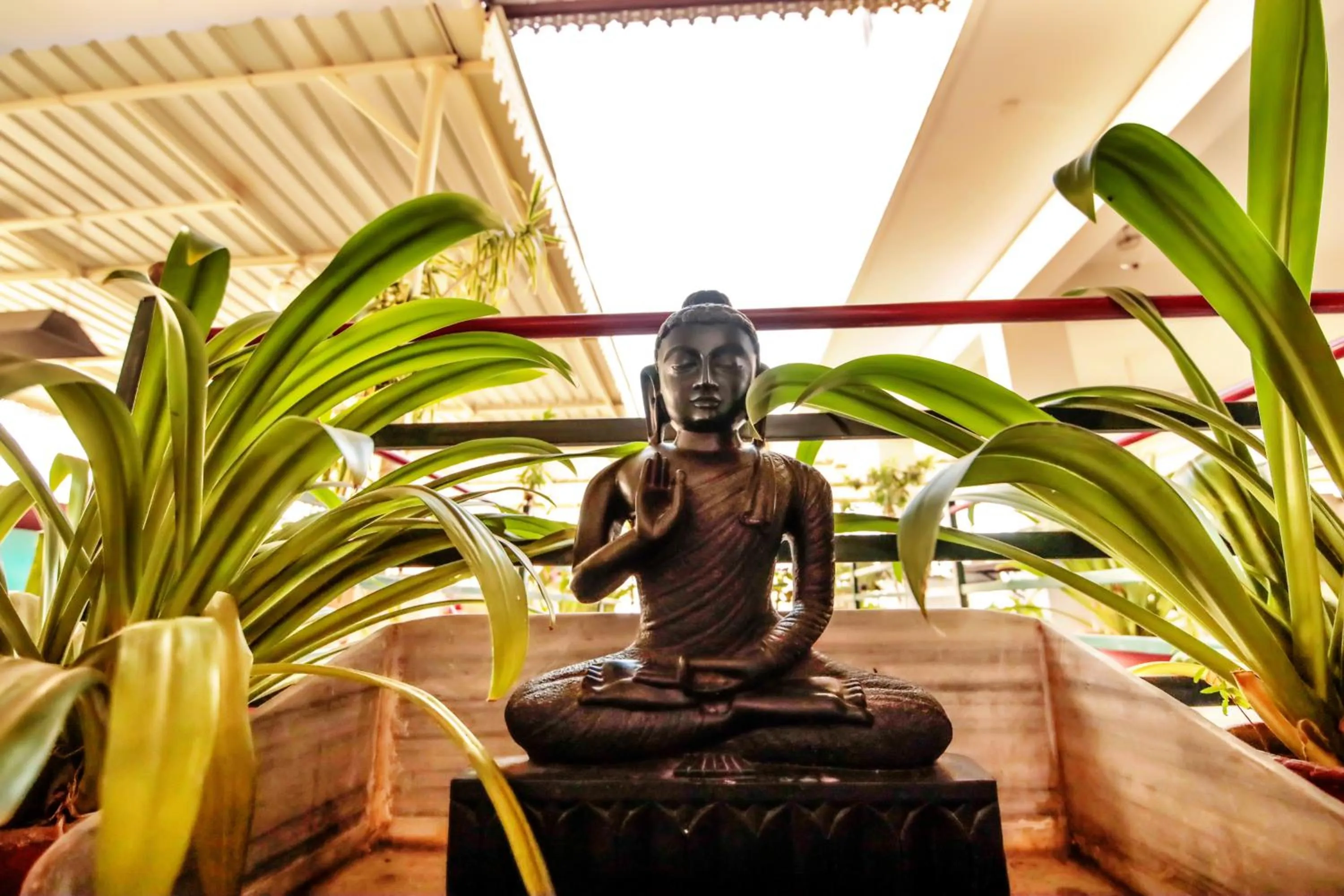 View (from property/room) in Hotel Devraj Niwas on Lake Pichola