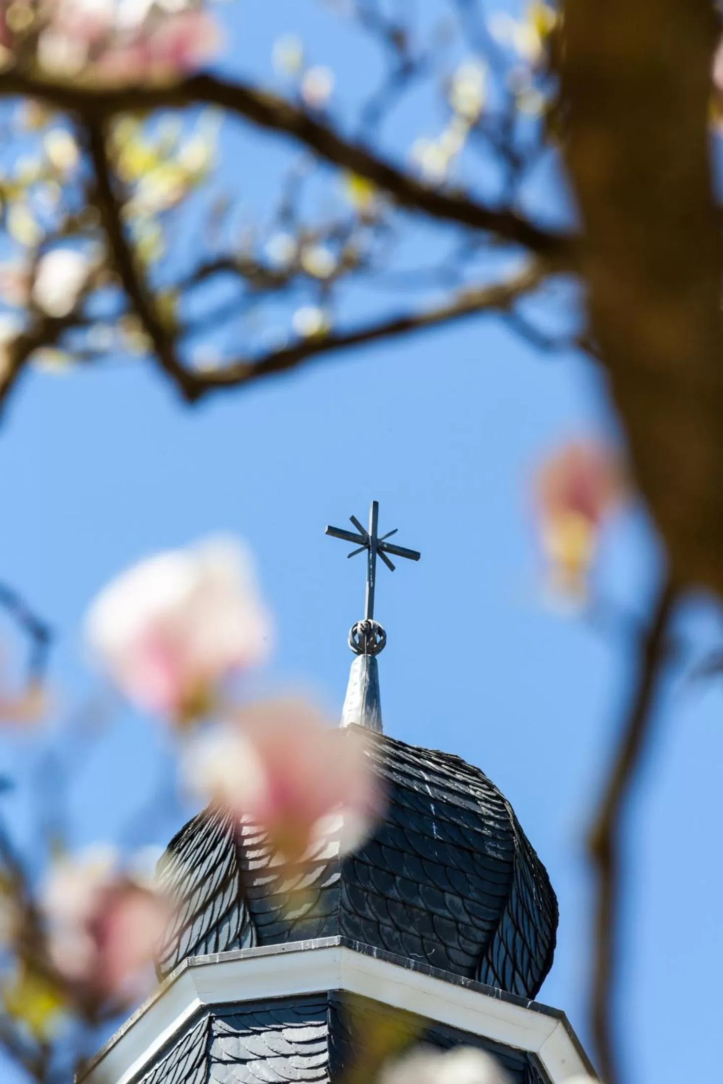 Patio in Kardinal Schulte Haus
