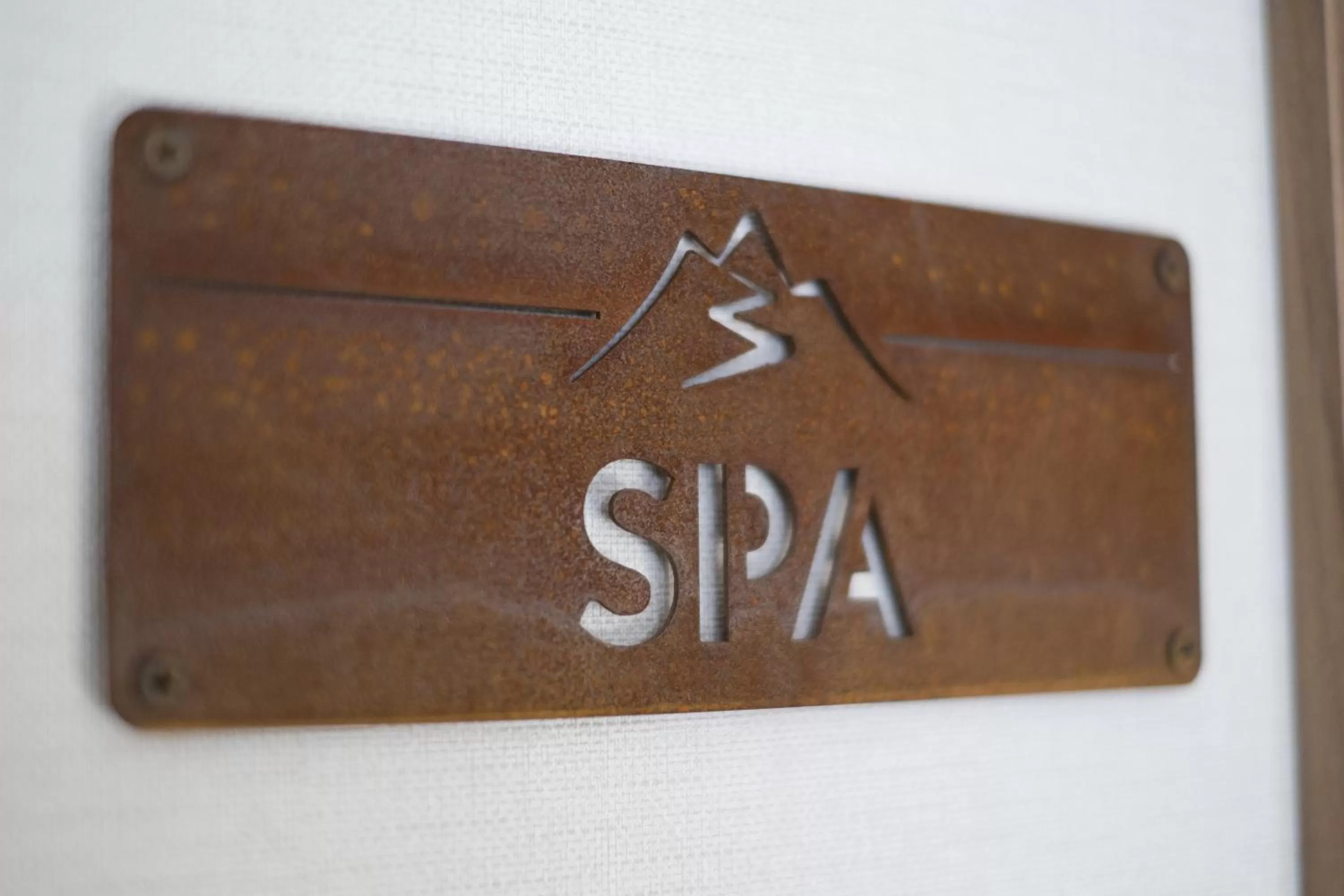 Spa and wellness centre/facilities in Villa Belweder