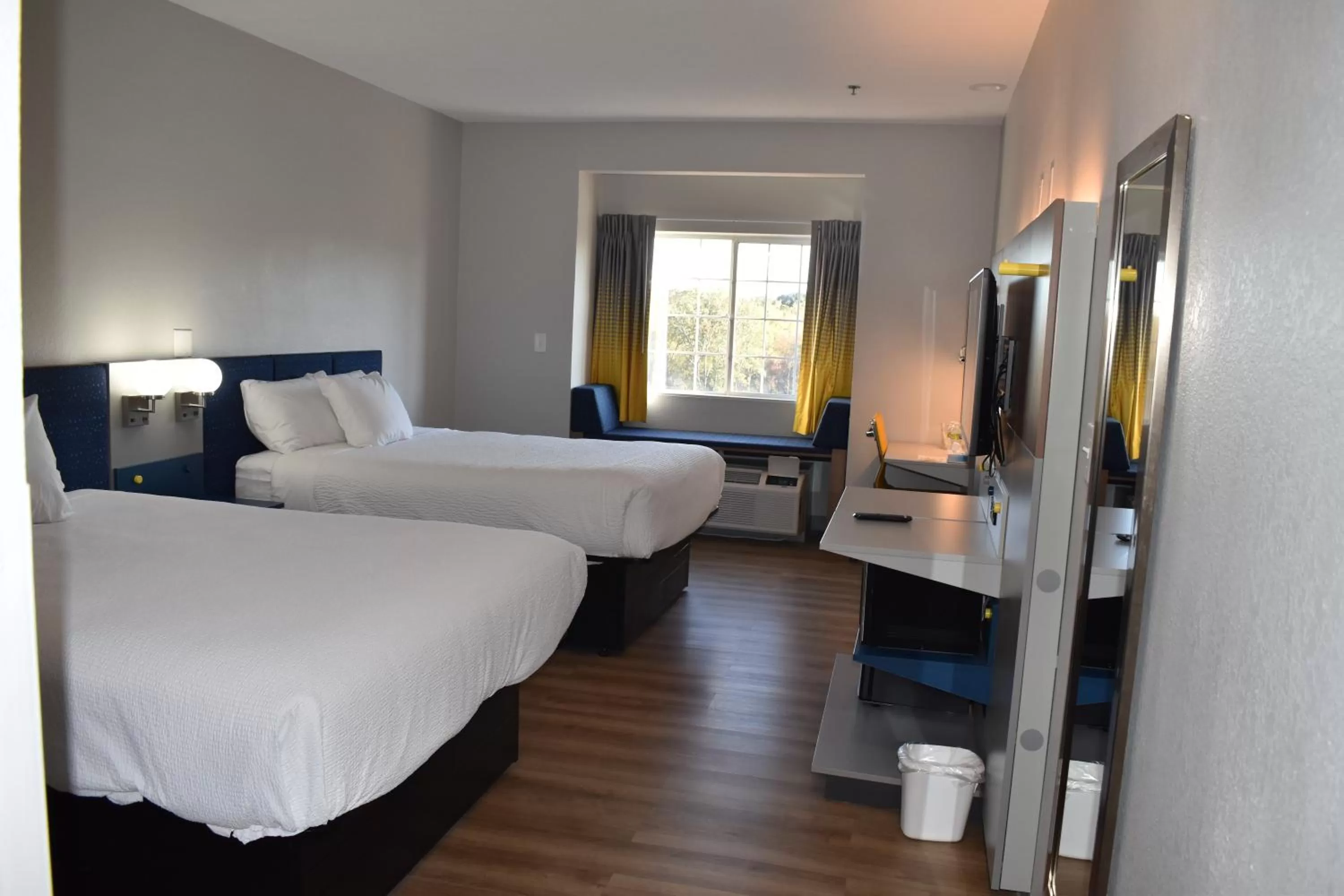 TV and multimedia, Bed in Microtel Inn & Suites by Wyndham Stockbridge/Atlanta I-75