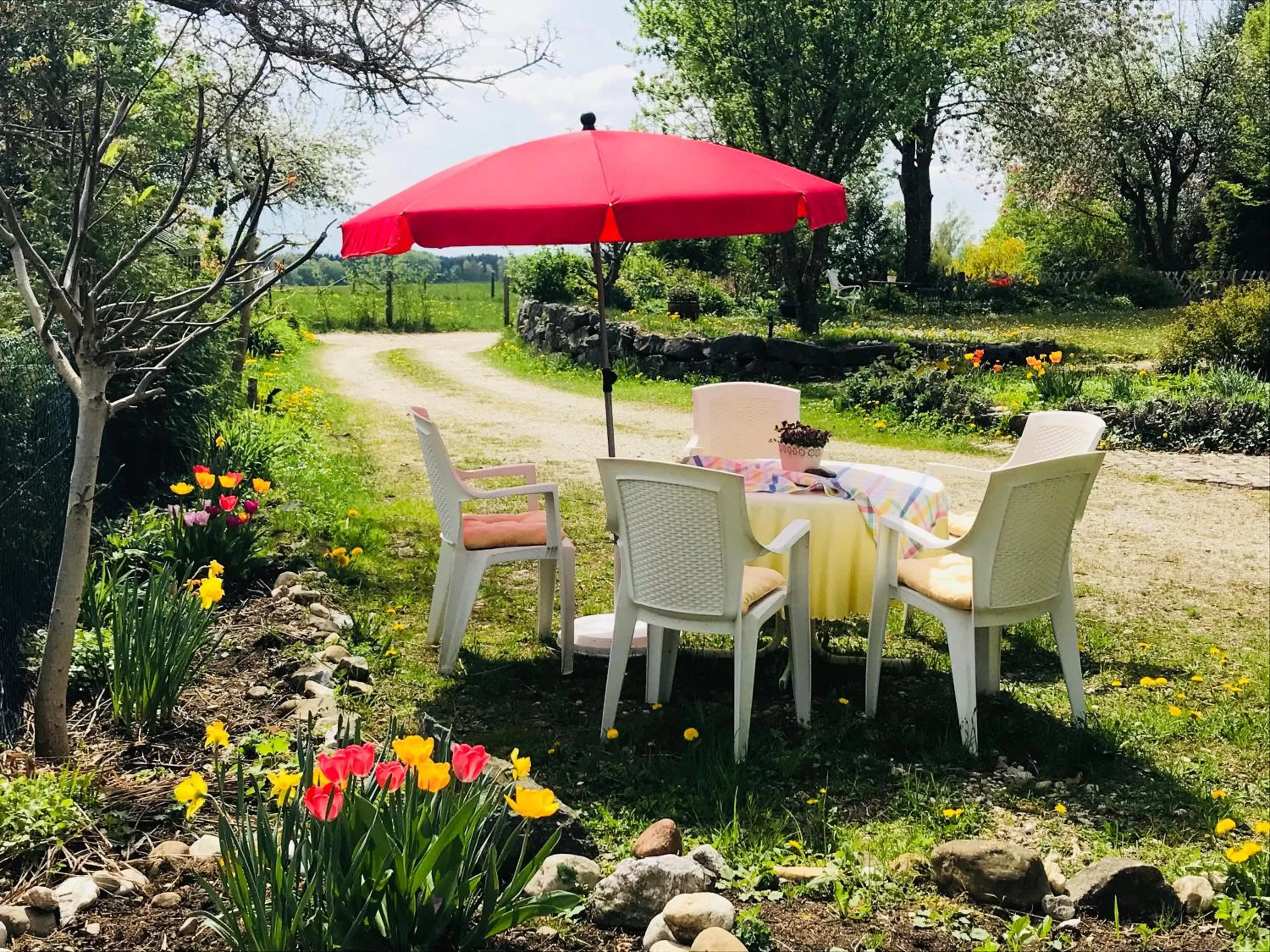 Patio, Garden in Bed and Breakfast Bavaria München