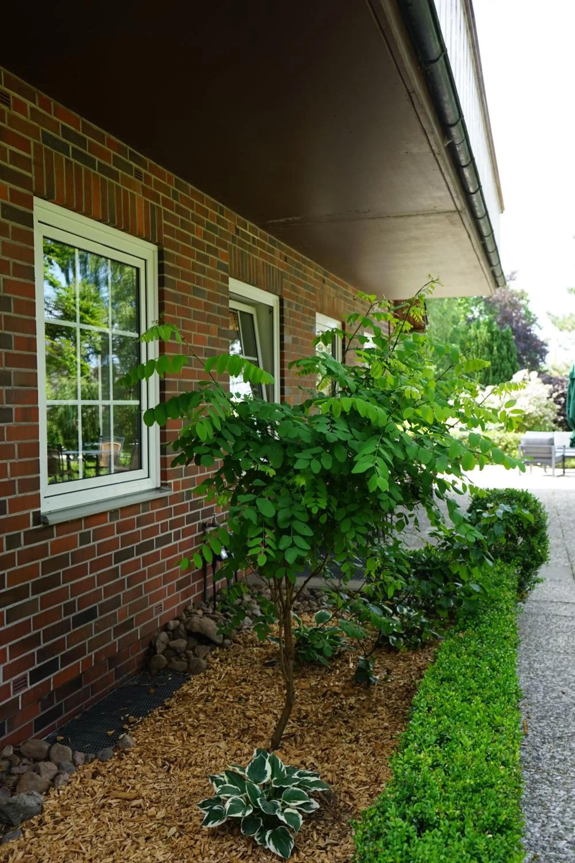 Garden, Property Building in Niedersachsen Hof