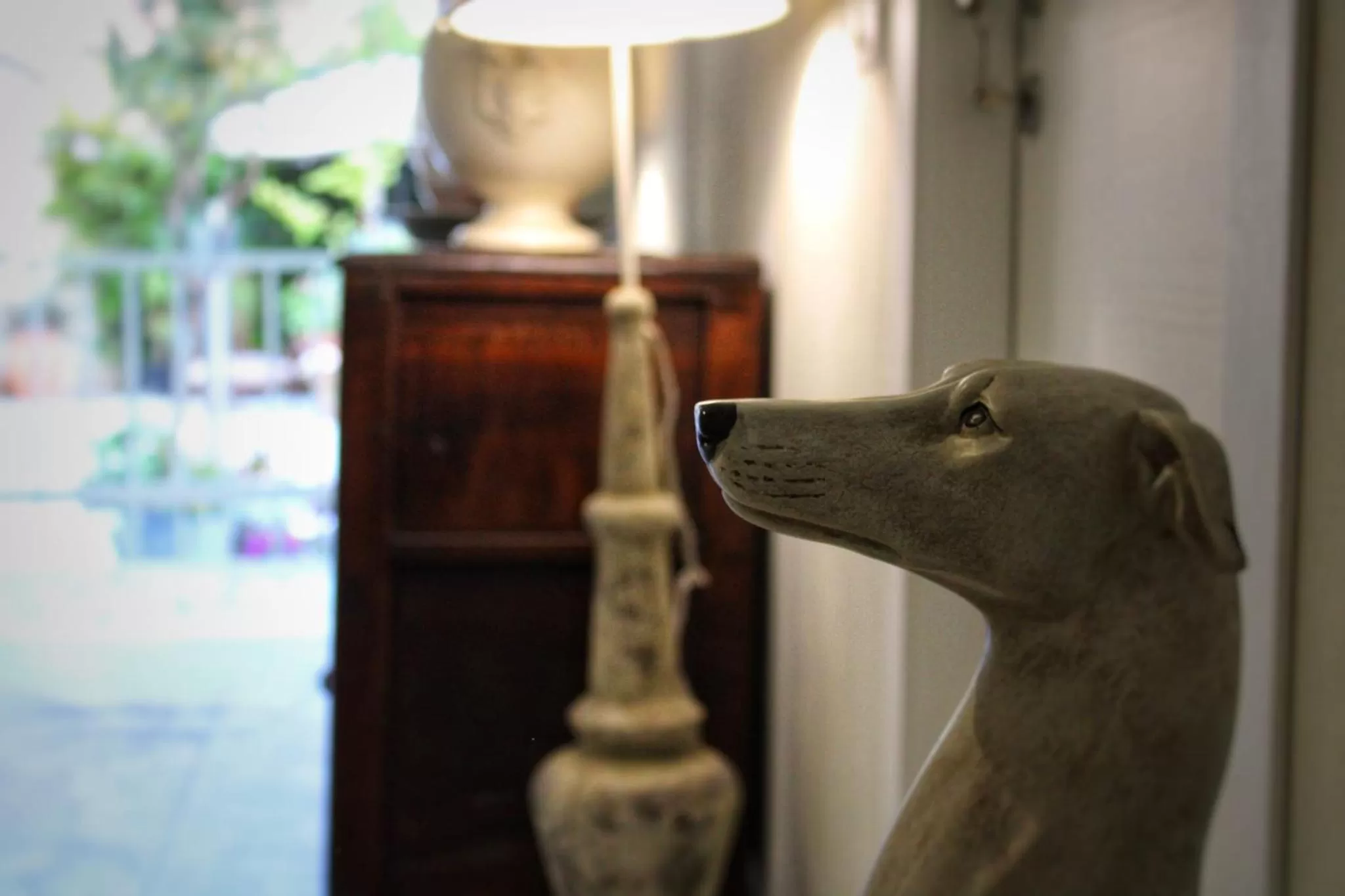 Pets in I Levrieri b&b