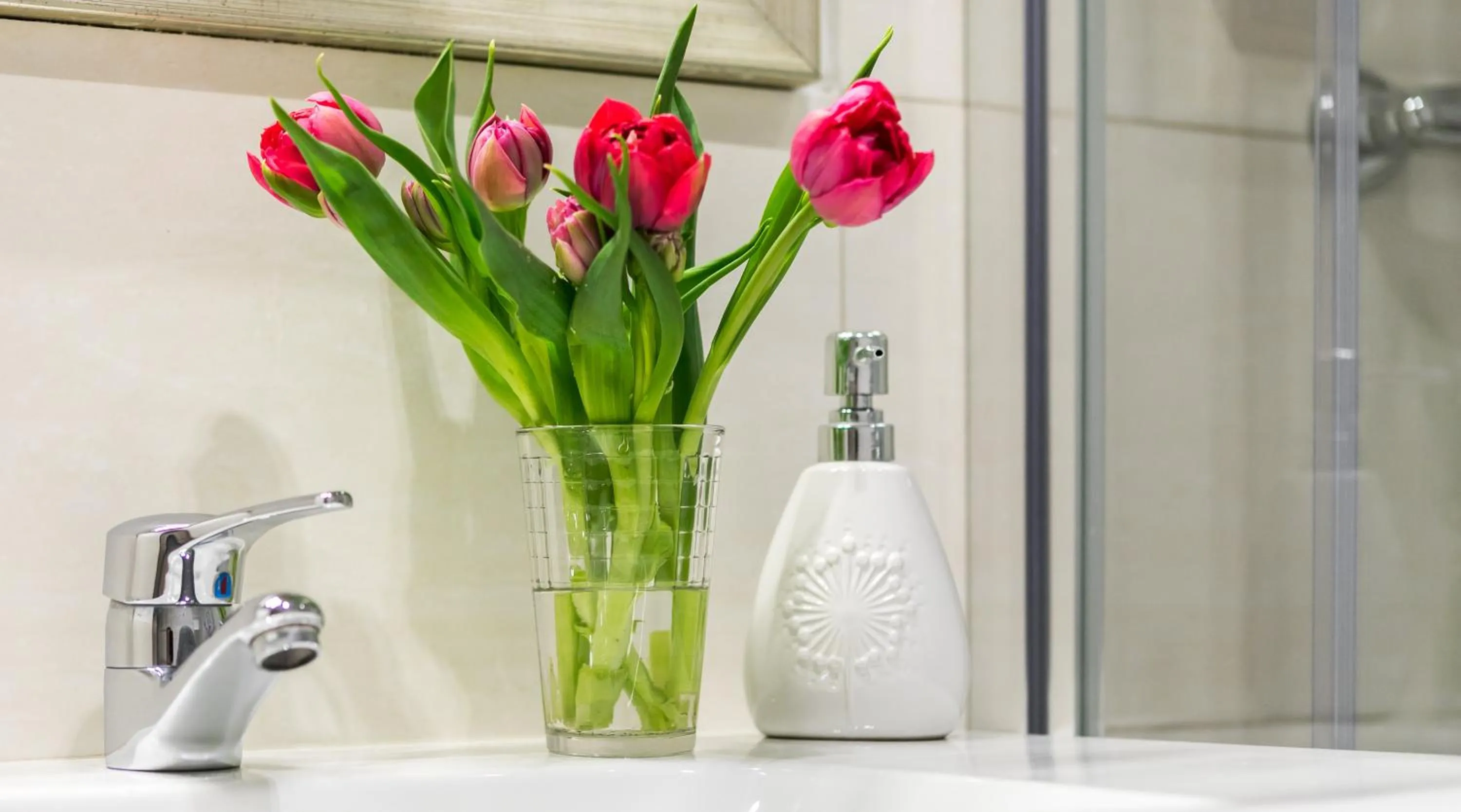 Bathroom in Cracowdays