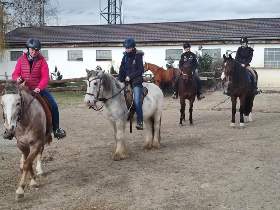 Horse-riding, Horseback Riding in Spa & Pool Apartment Hotel - Restaurant VILLA IVICA