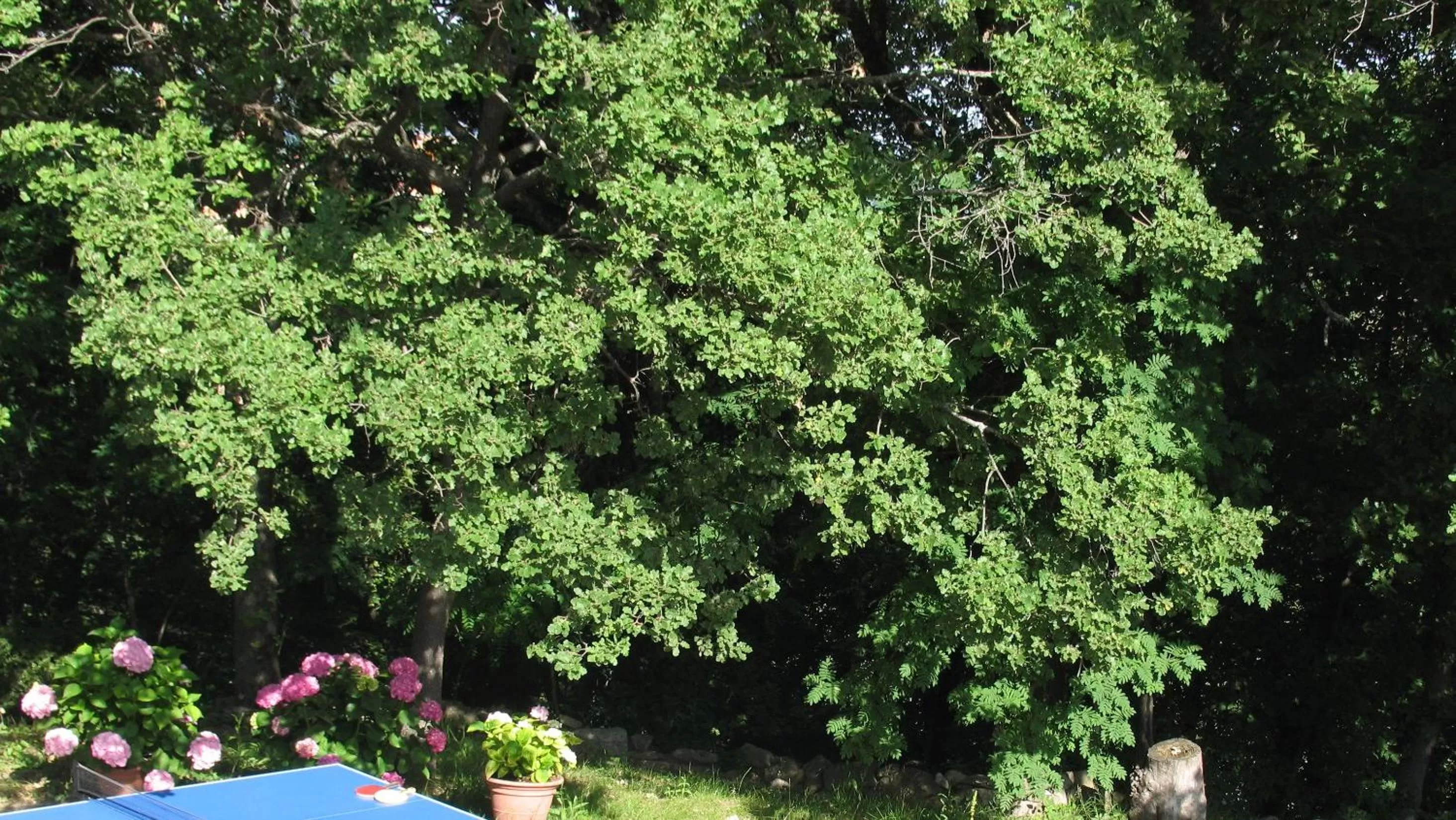 Other in La Casa Dei Boschi