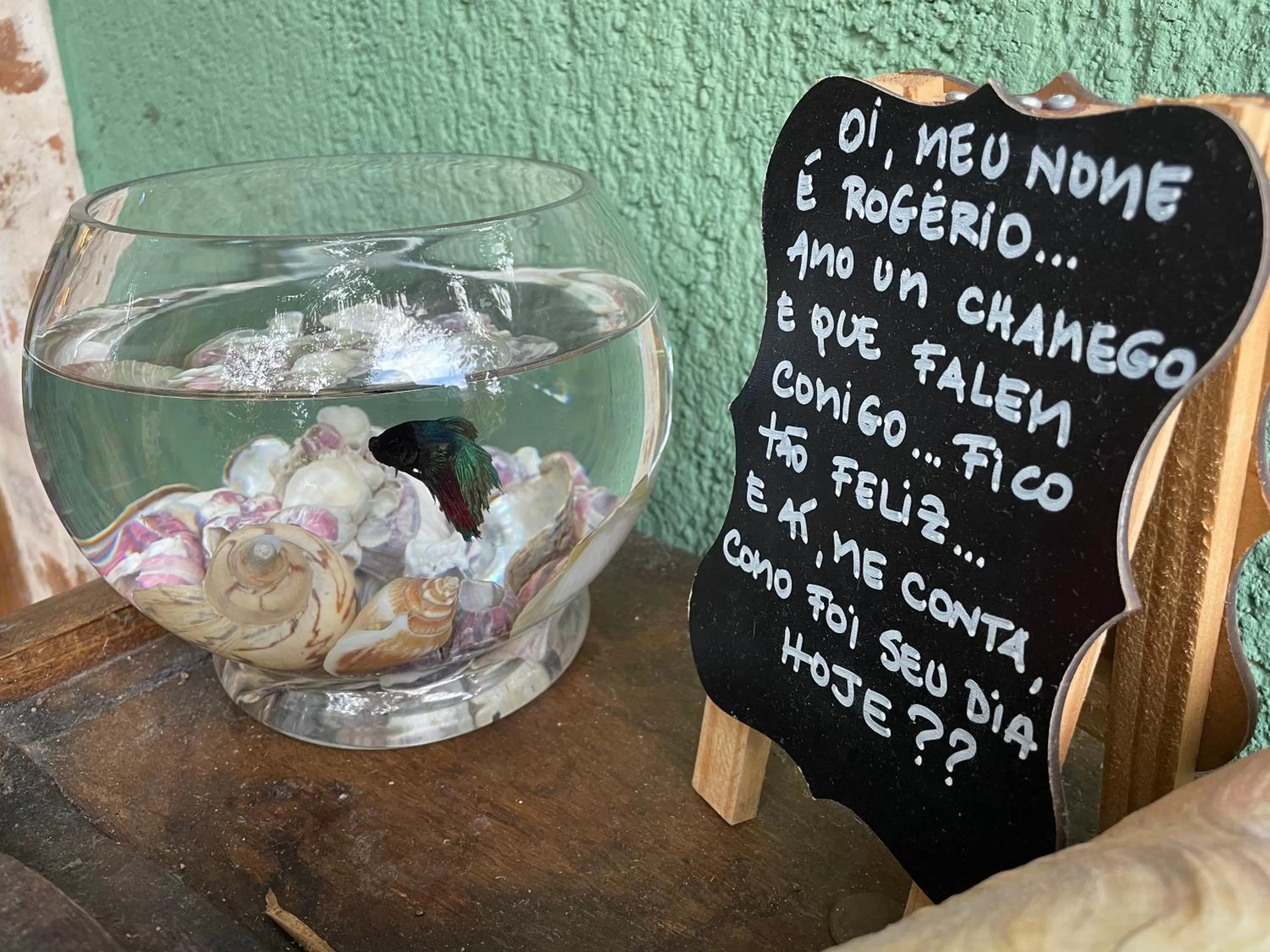 Logo/Certificate/Sign in Pousada Santarina