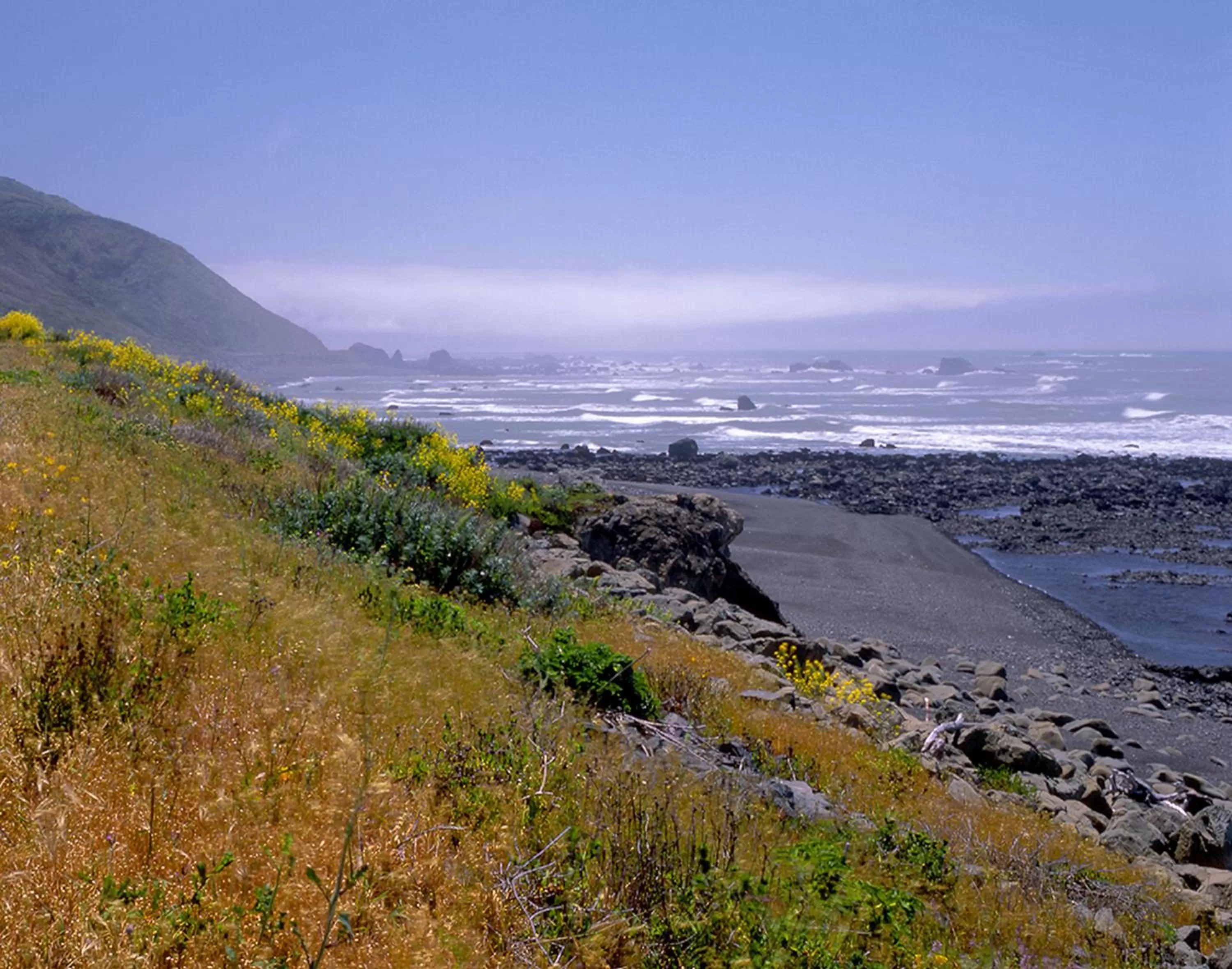 Natural landscape in Redwood Suites