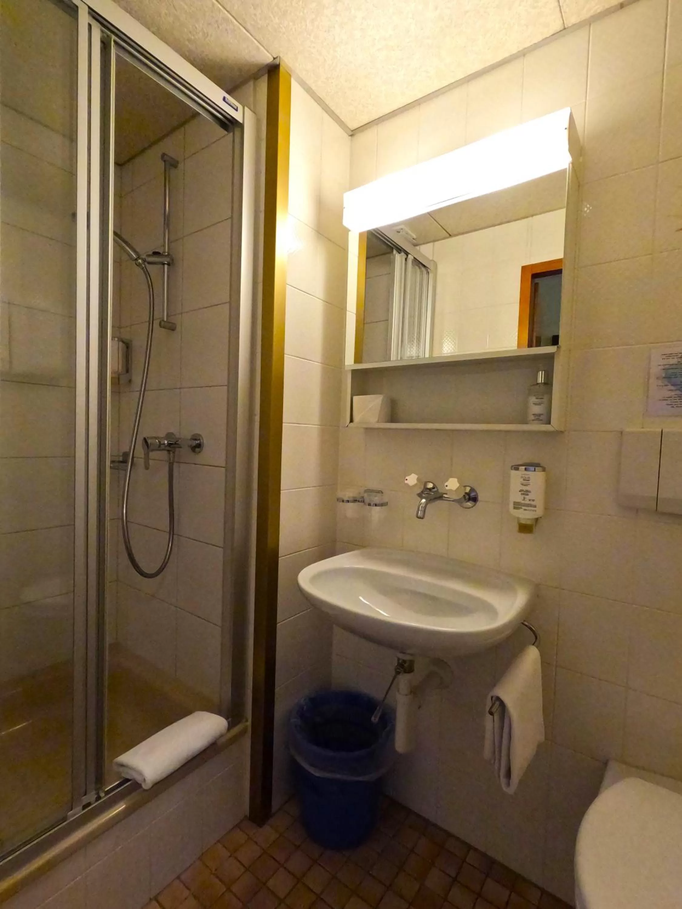 Shower in Alpenrose Hotel and Gardens