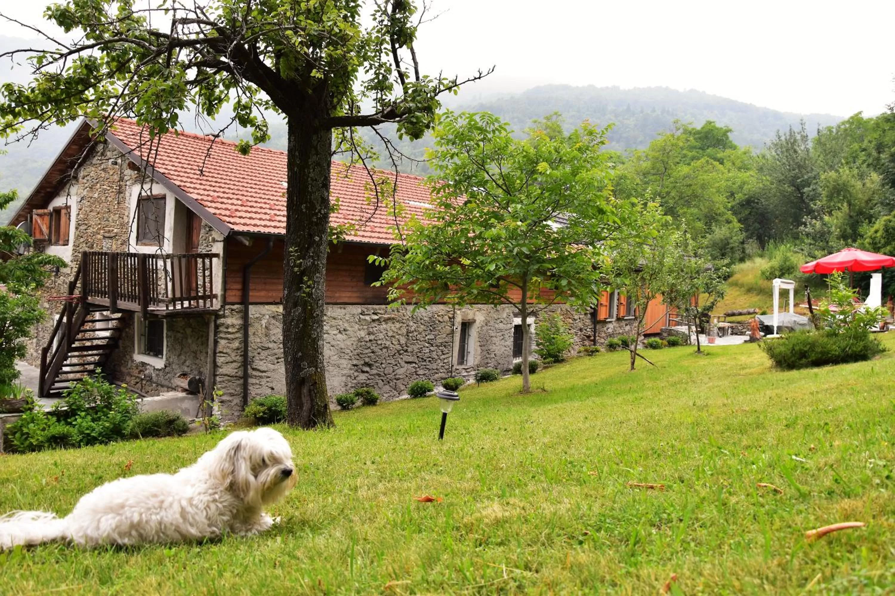 Pets in Ca-Jo Bed and Breakfast