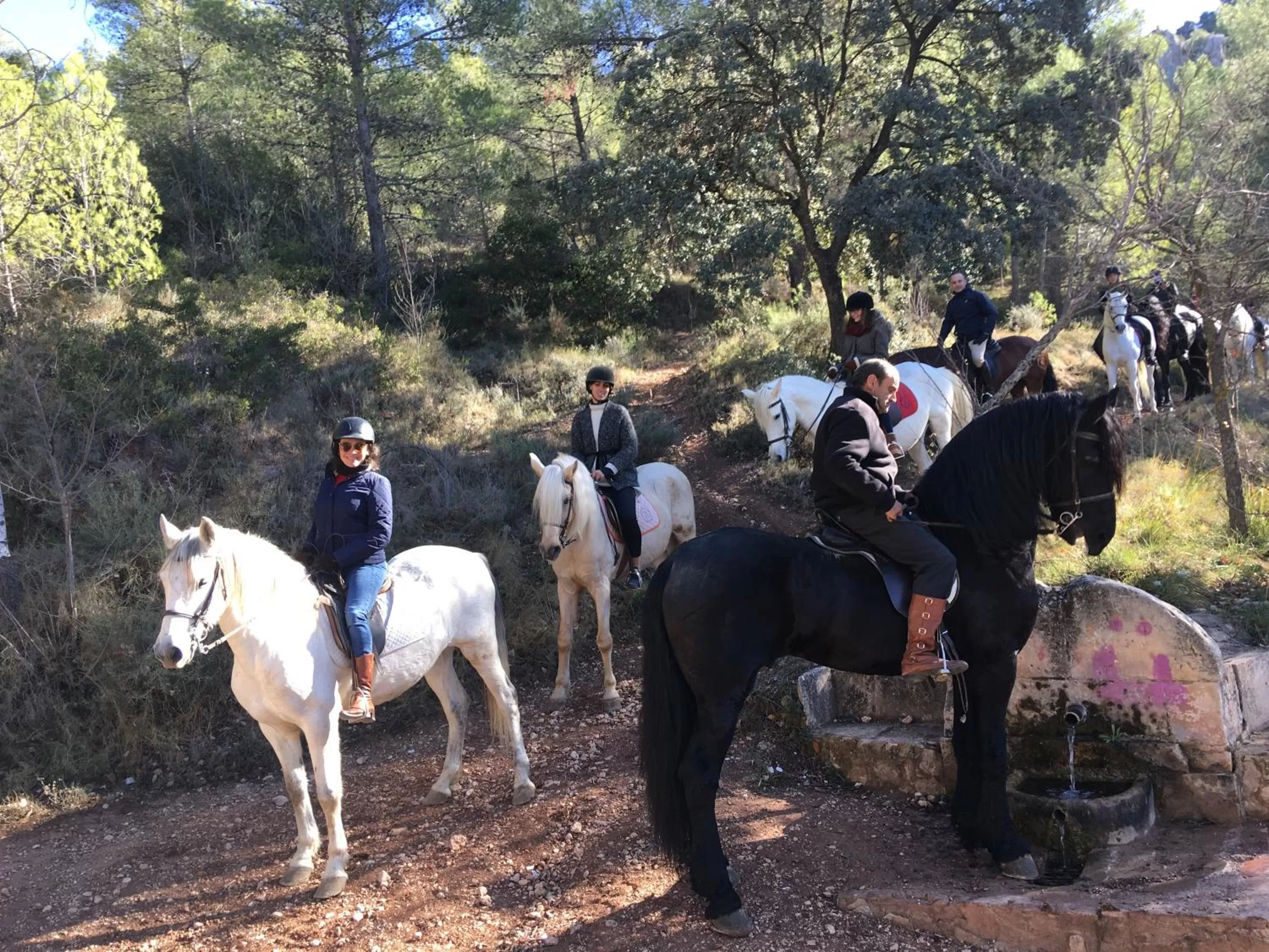 Horse-riding in Eco Hotel con encanto Masía la Mota B&B