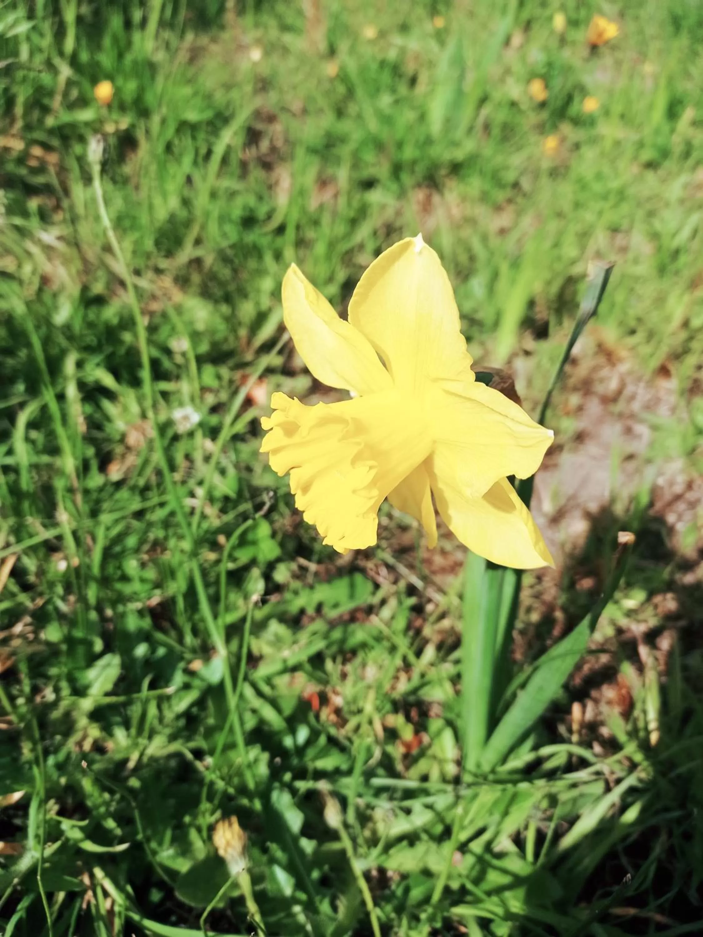 Hotel Refugio Pozo Azul